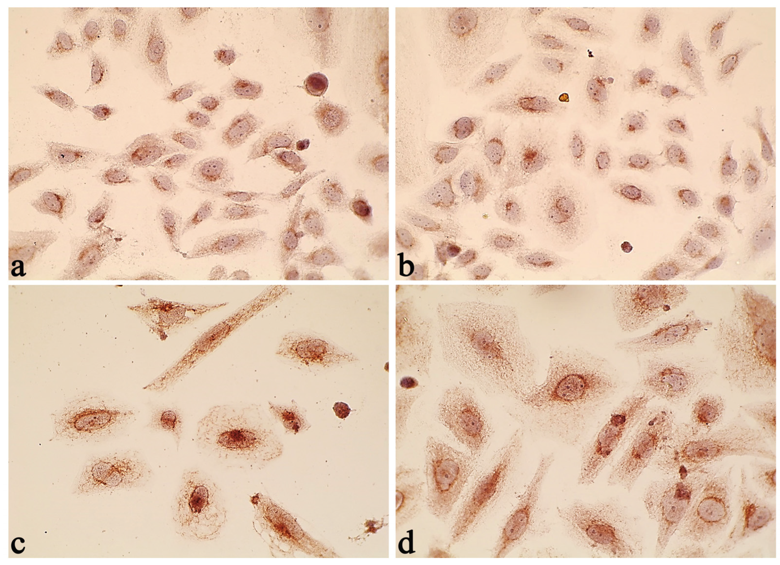 Pharmaceuticals 17 00133 g006