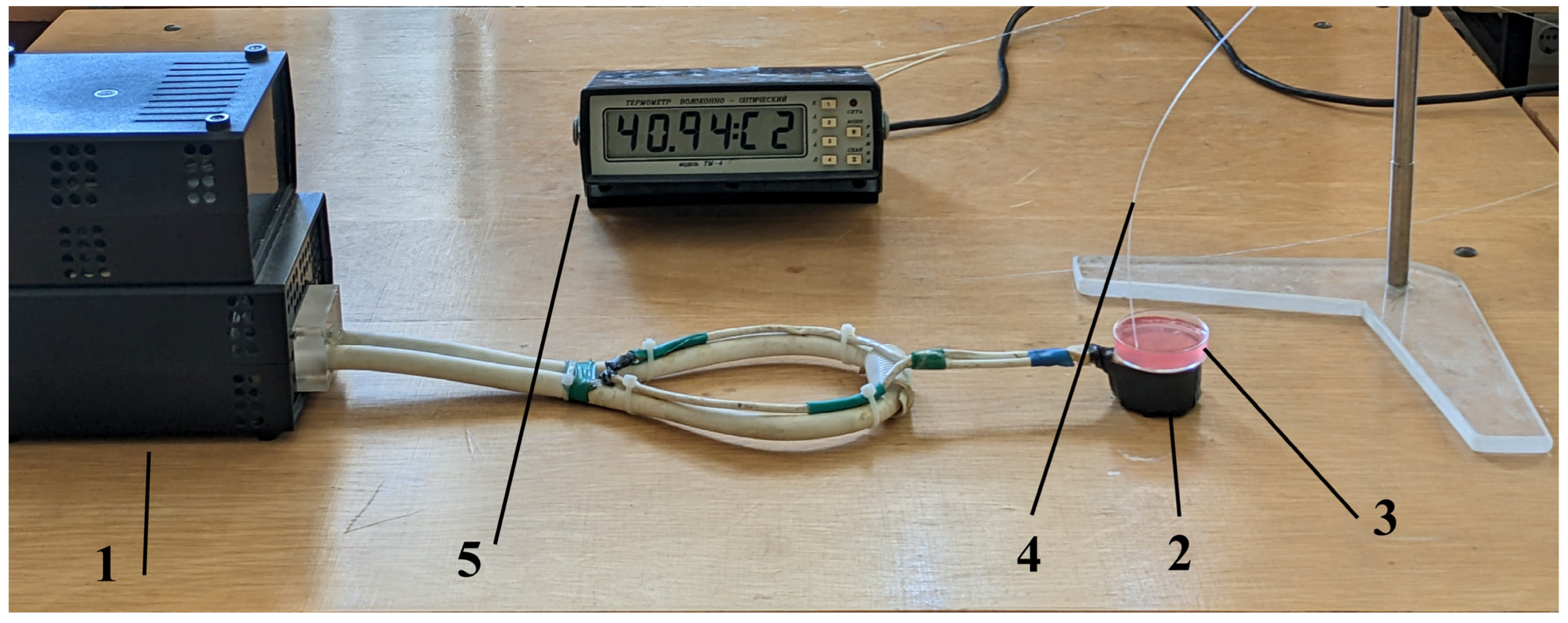 Pharmaceuticals 17 00133 g009