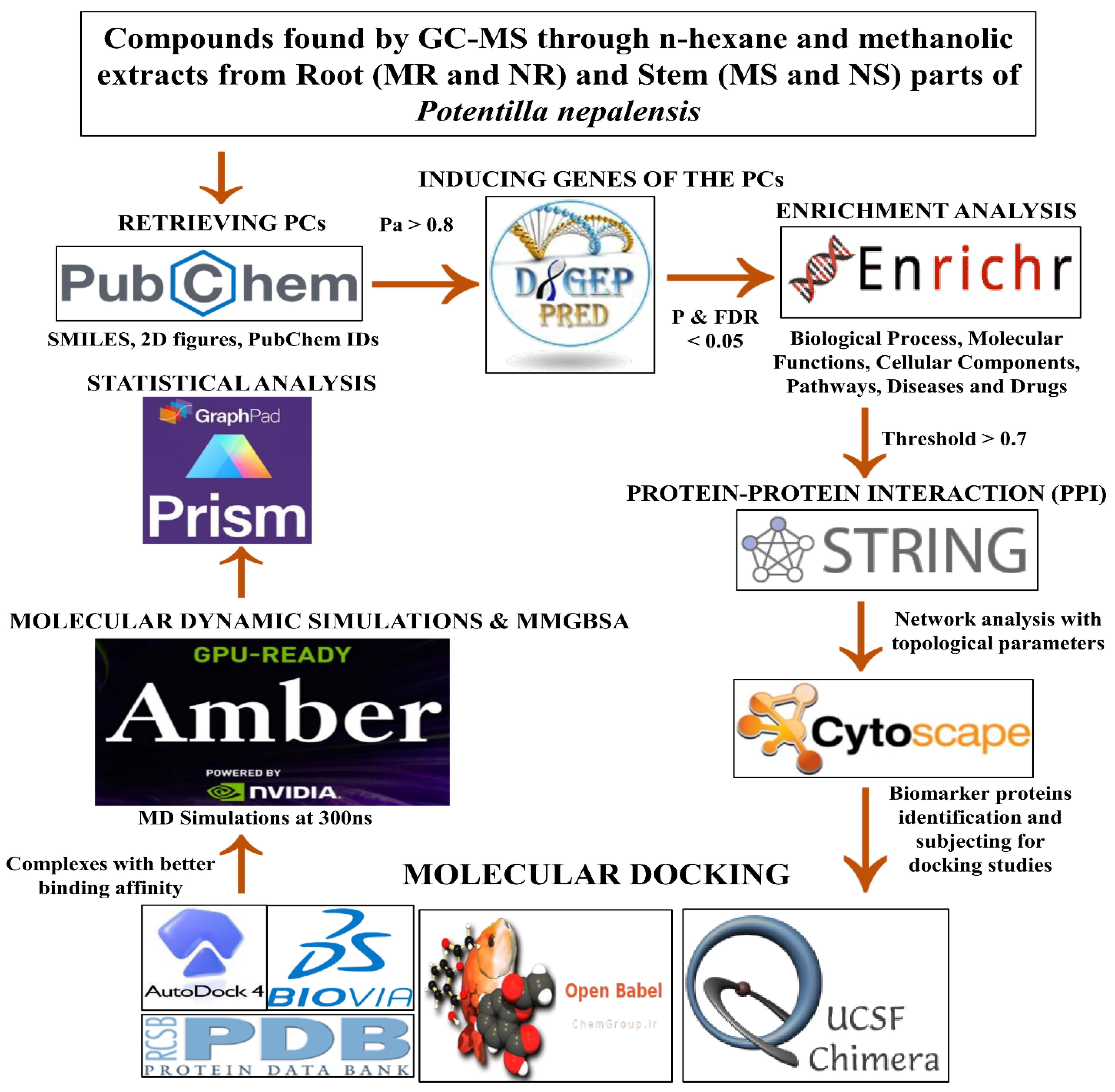 Pharmaceuticals 17 00134 g001