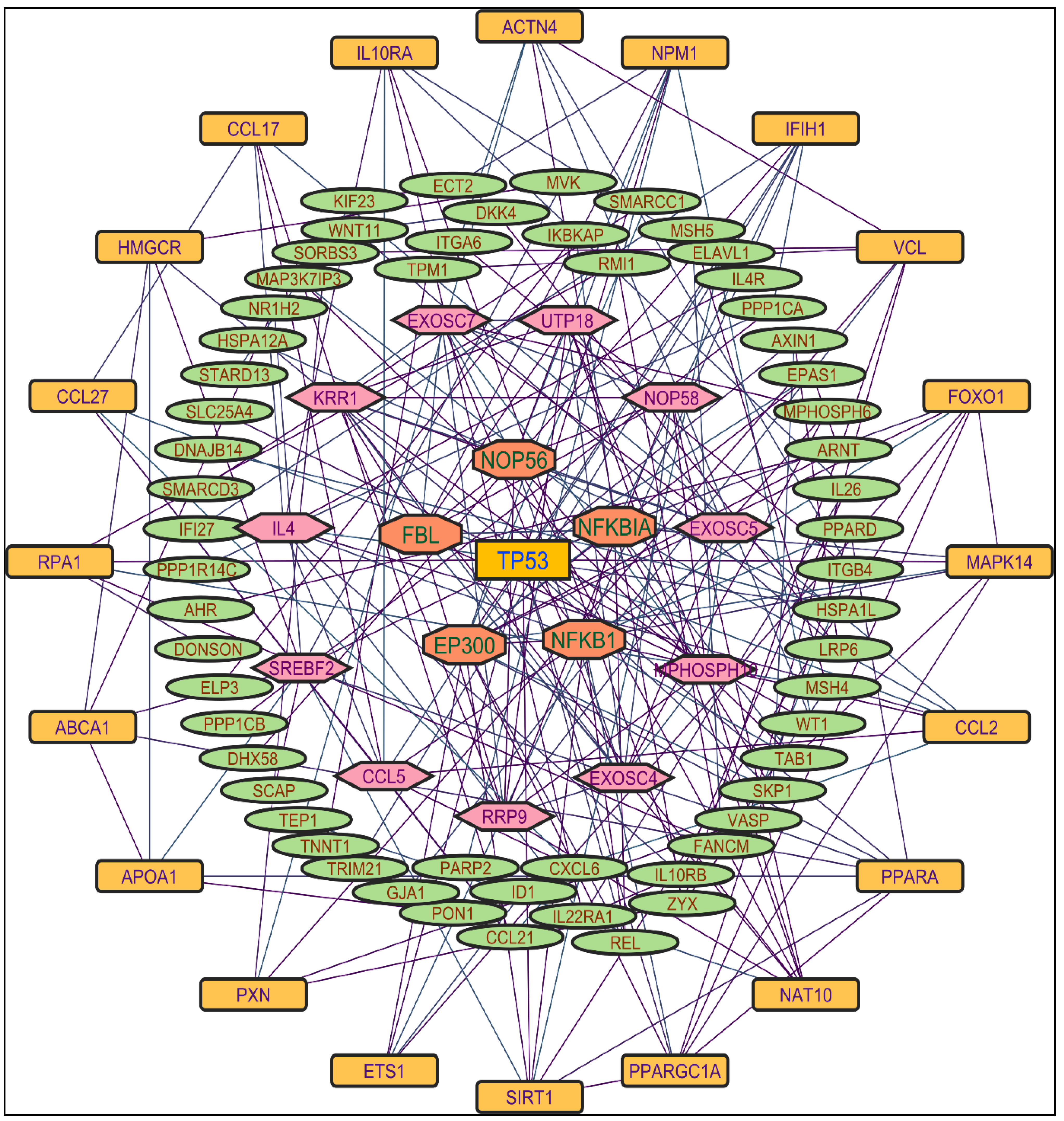 Pharmaceuticals 17 00134 g004