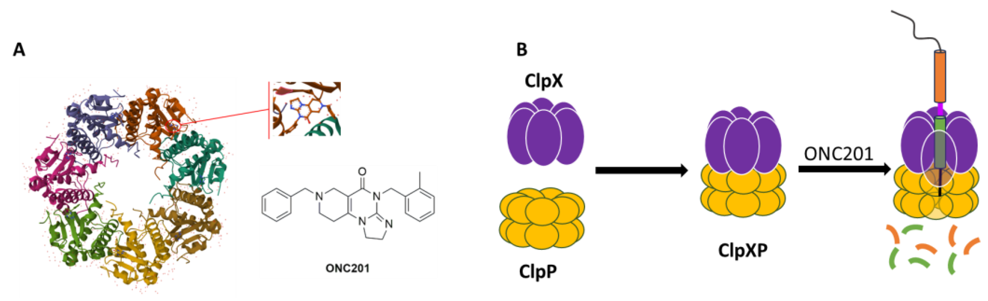 Pharmaceuticals 17 00135 g002