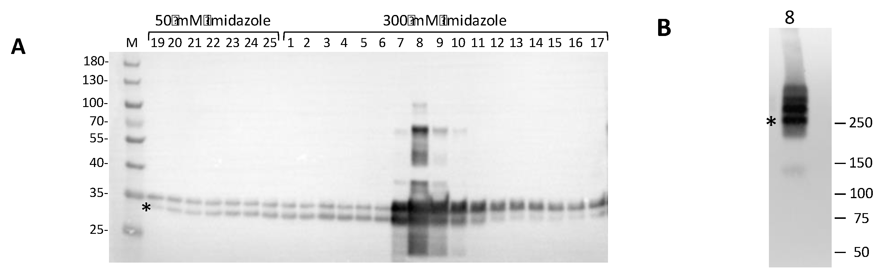 Pharmaceuticals 17 00135 g004
