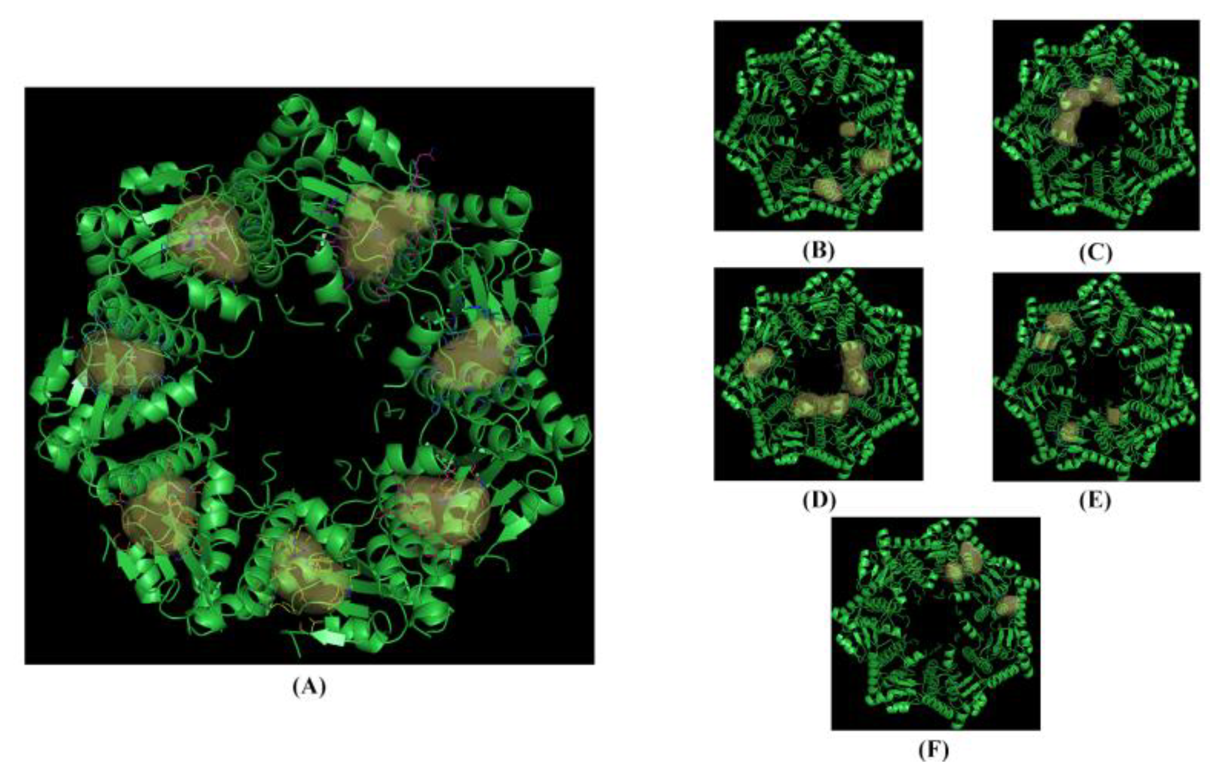 Pharmaceuticals 17 00135 g006