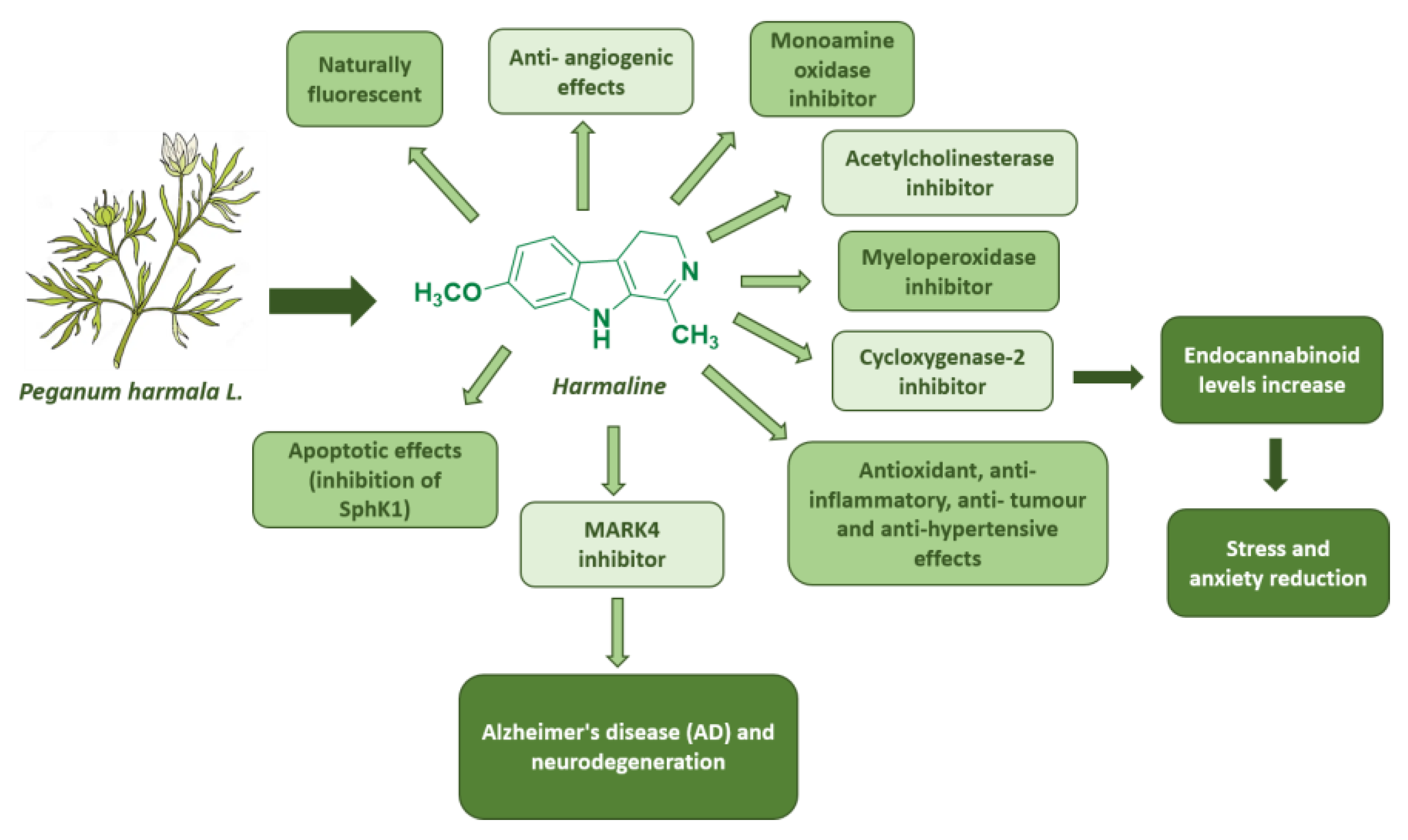 Pharmaceuticals 17 00135 g009