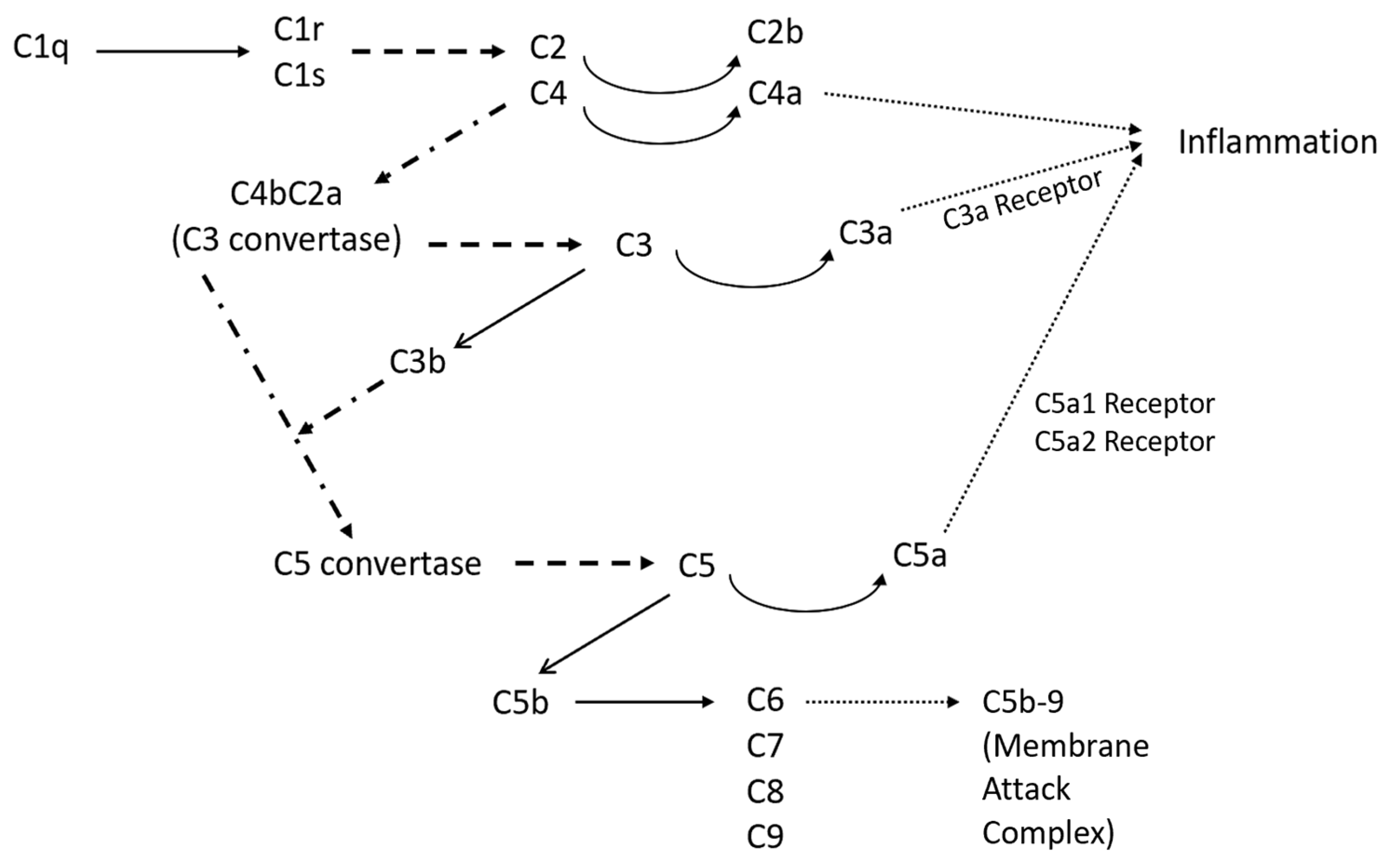 Pharmaceuticals 17 00137 g001 Pharmaceuticals 17 00137 g001