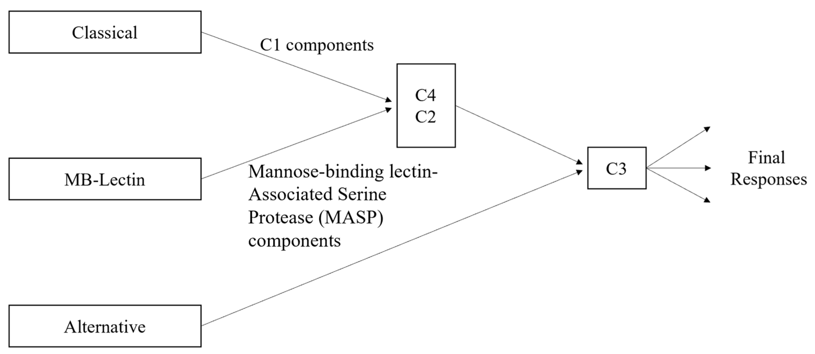 Pharmaceuticals 17 00137 g002 Pharmaceuticals 17 00137 g002