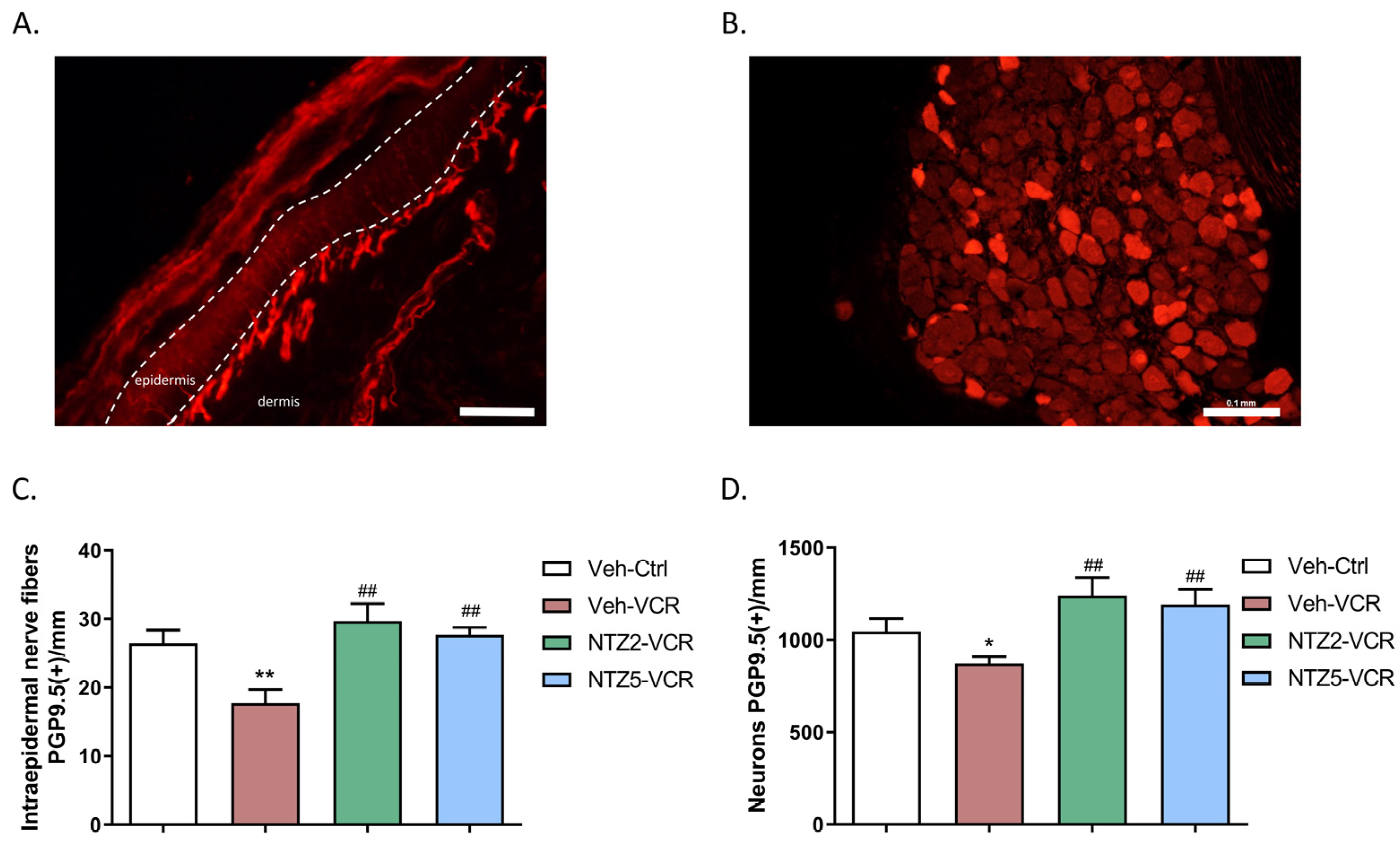 Pharmaceuticals 17 00144 g002