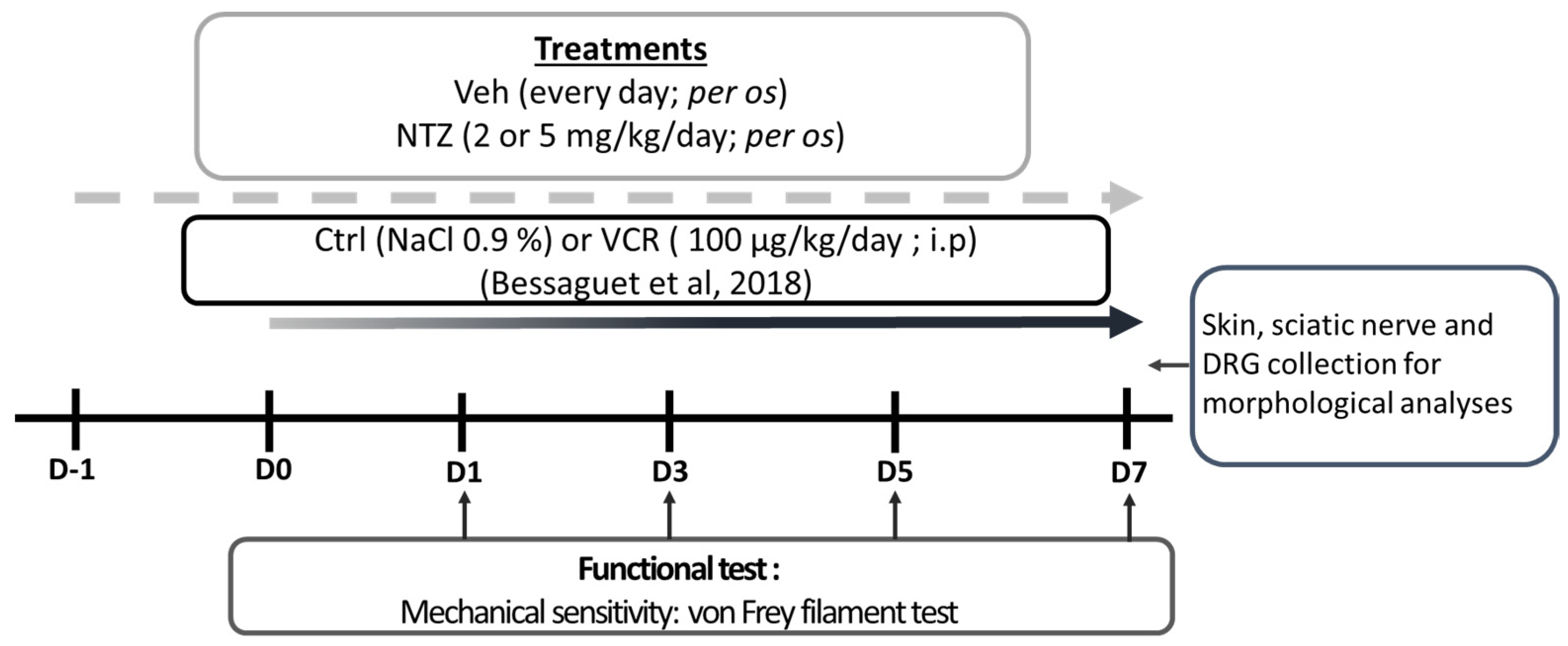 Pharmaceuticals 17 00144 g004