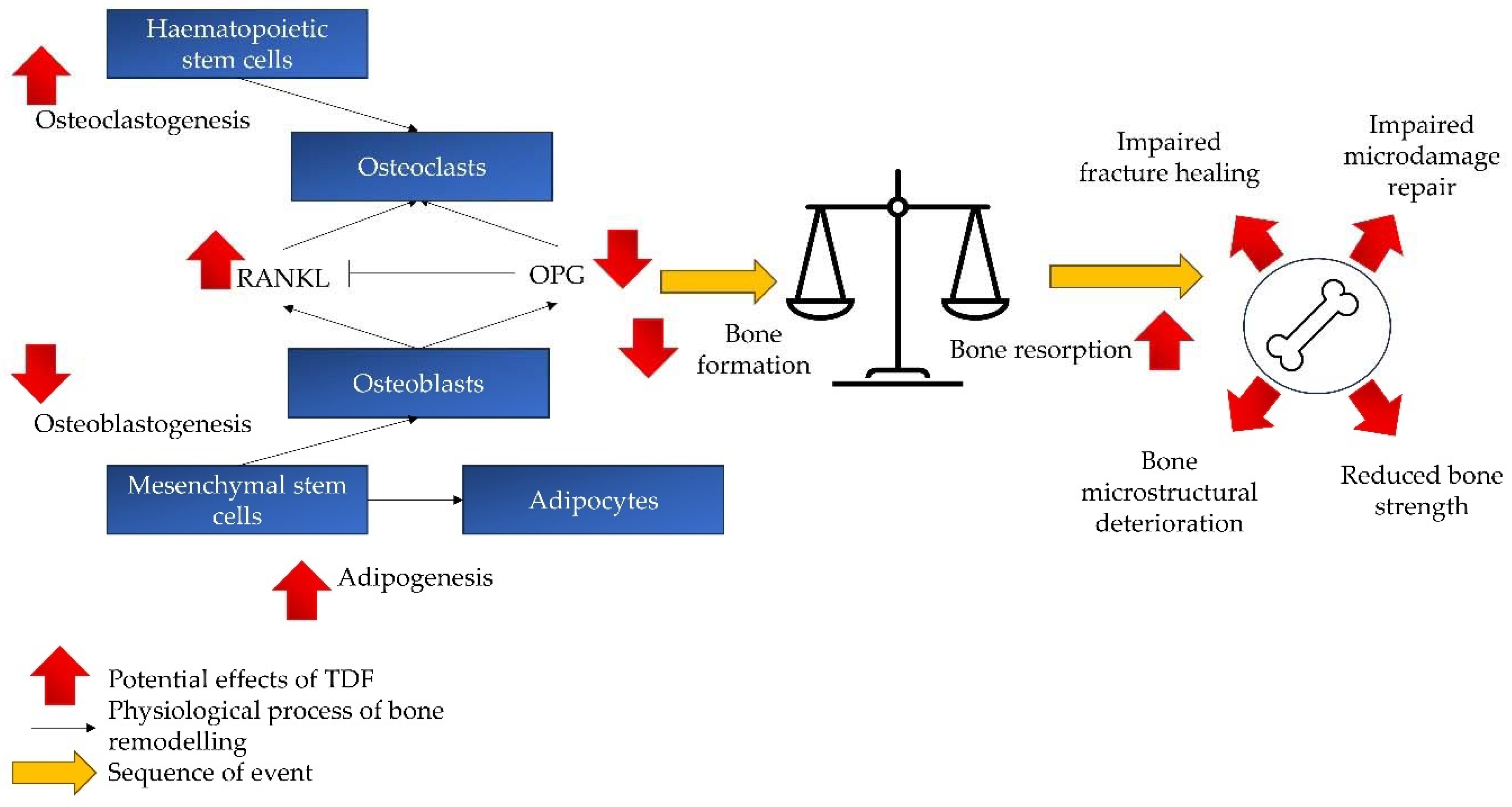 Pharmaceuticals 17 00146 g002