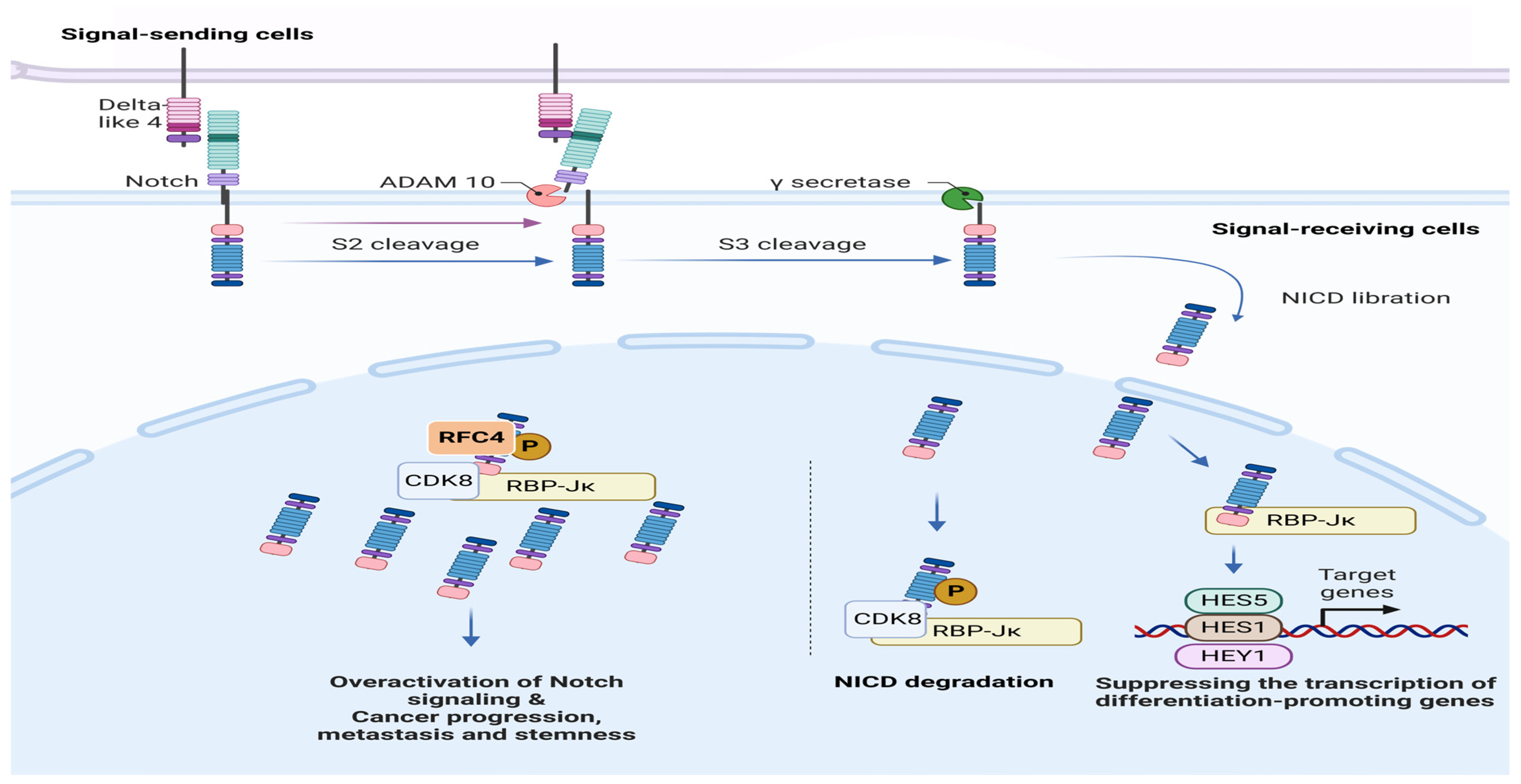 Pharmaceuticals 17 00152 g001 Pharmaceuticals 17 00152 g001