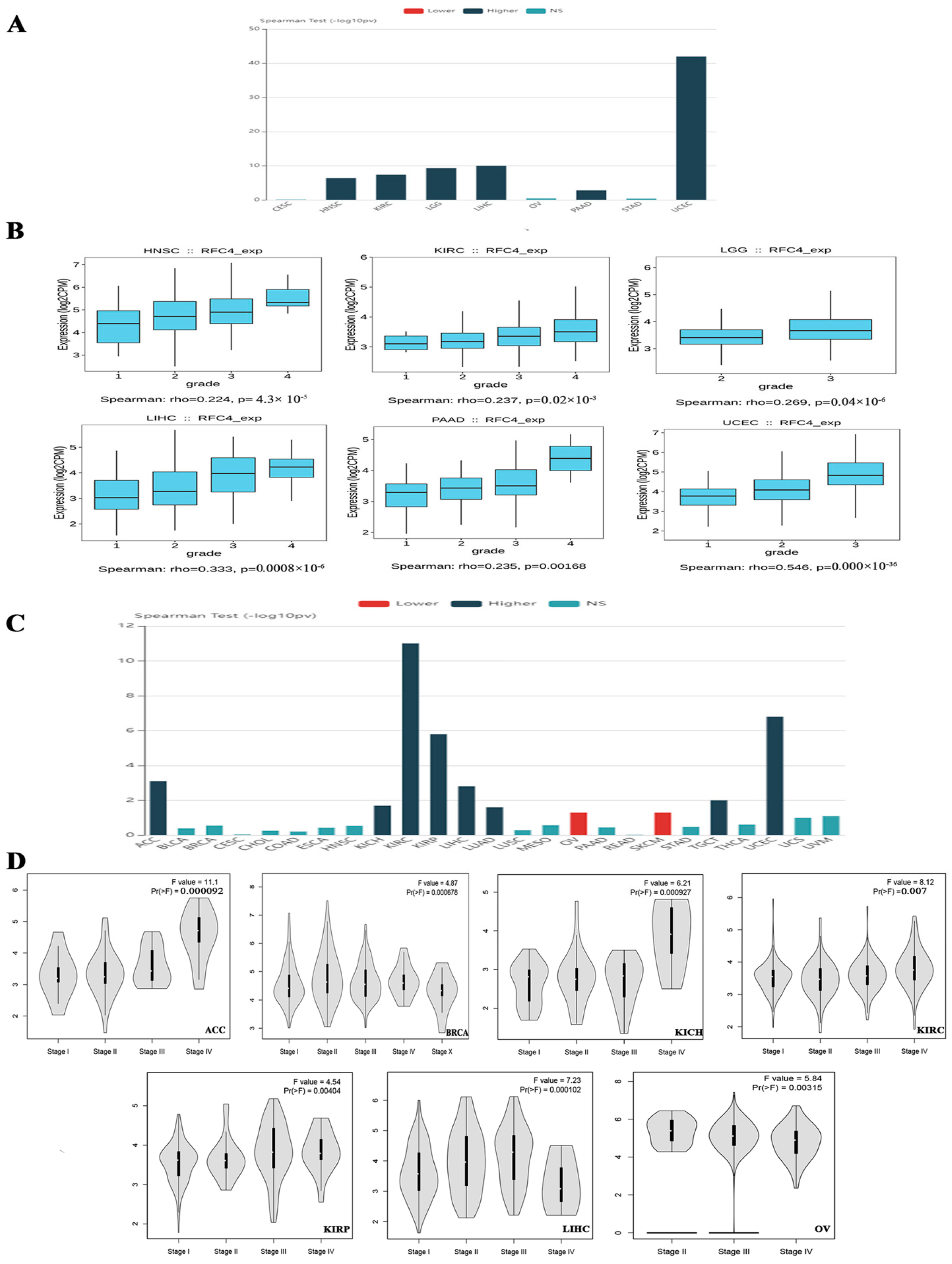 Pharmaceuticals 17 00152 g003 Pharmaceuticals 17 00152 g003