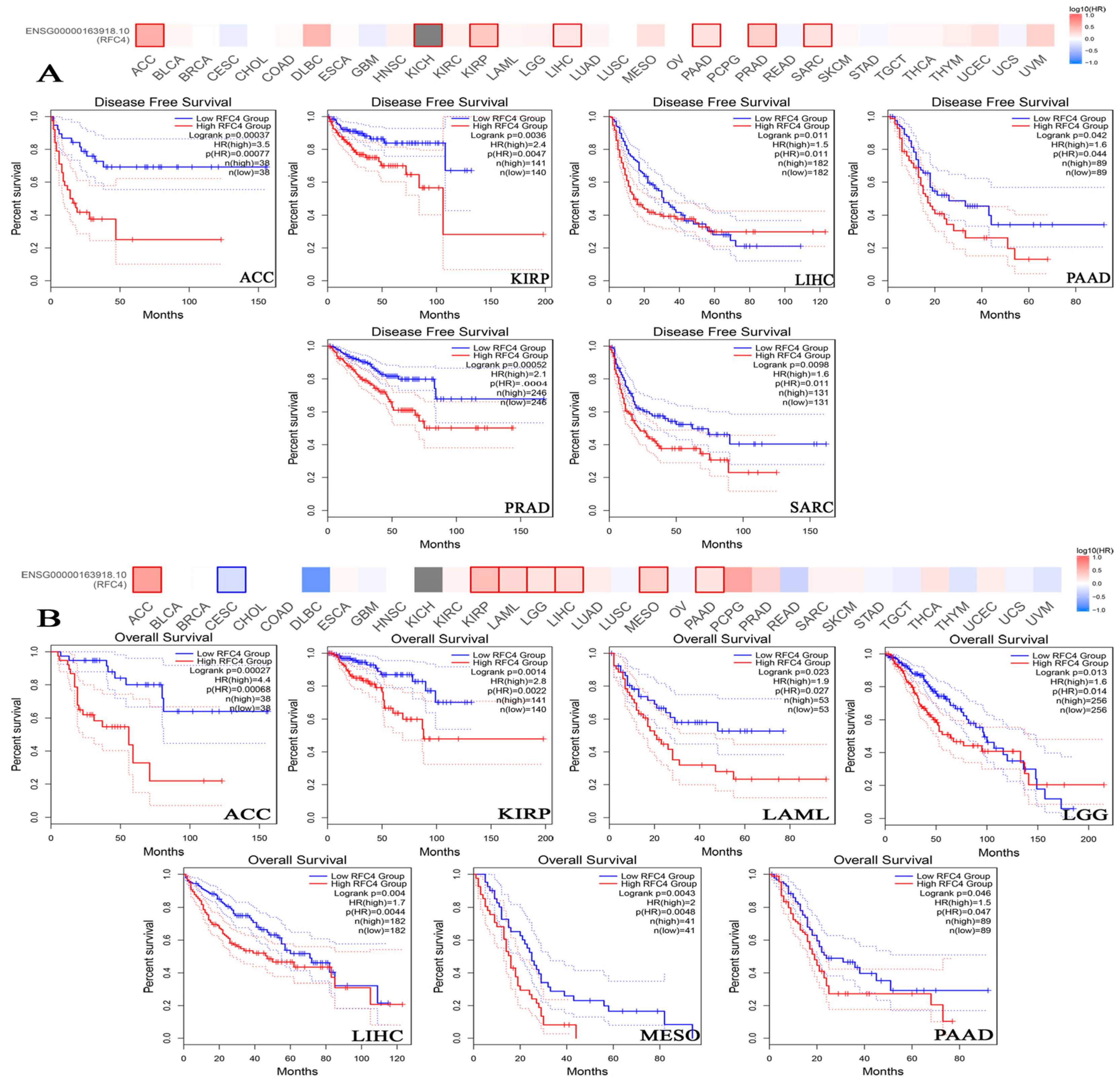 Pharmaceuticals 17 00152 g005 Pharmaceuticals 17 00152 g005