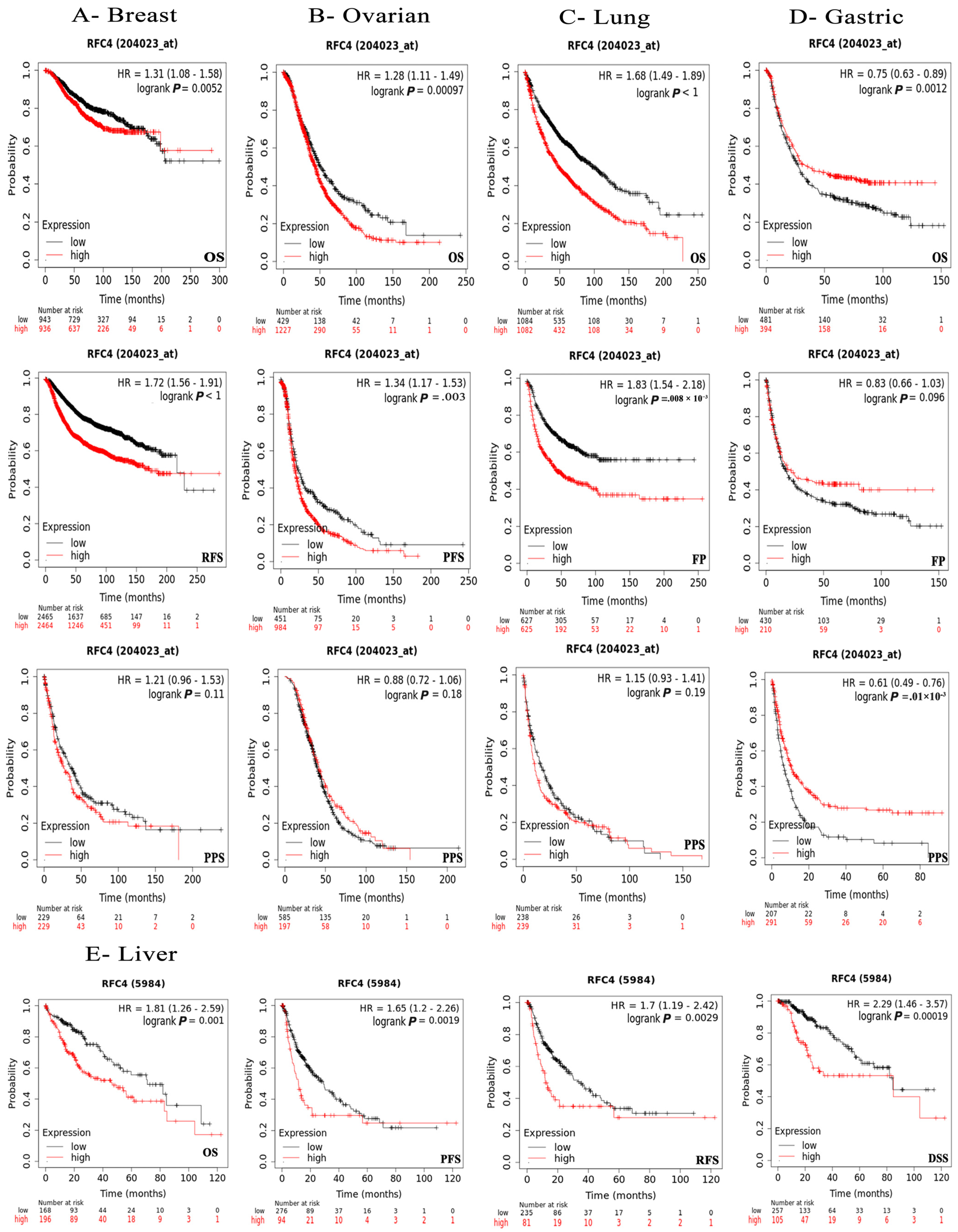 Pharmaceuticals 17 00152 g006 Pharmaceuticals 17 00152 g006