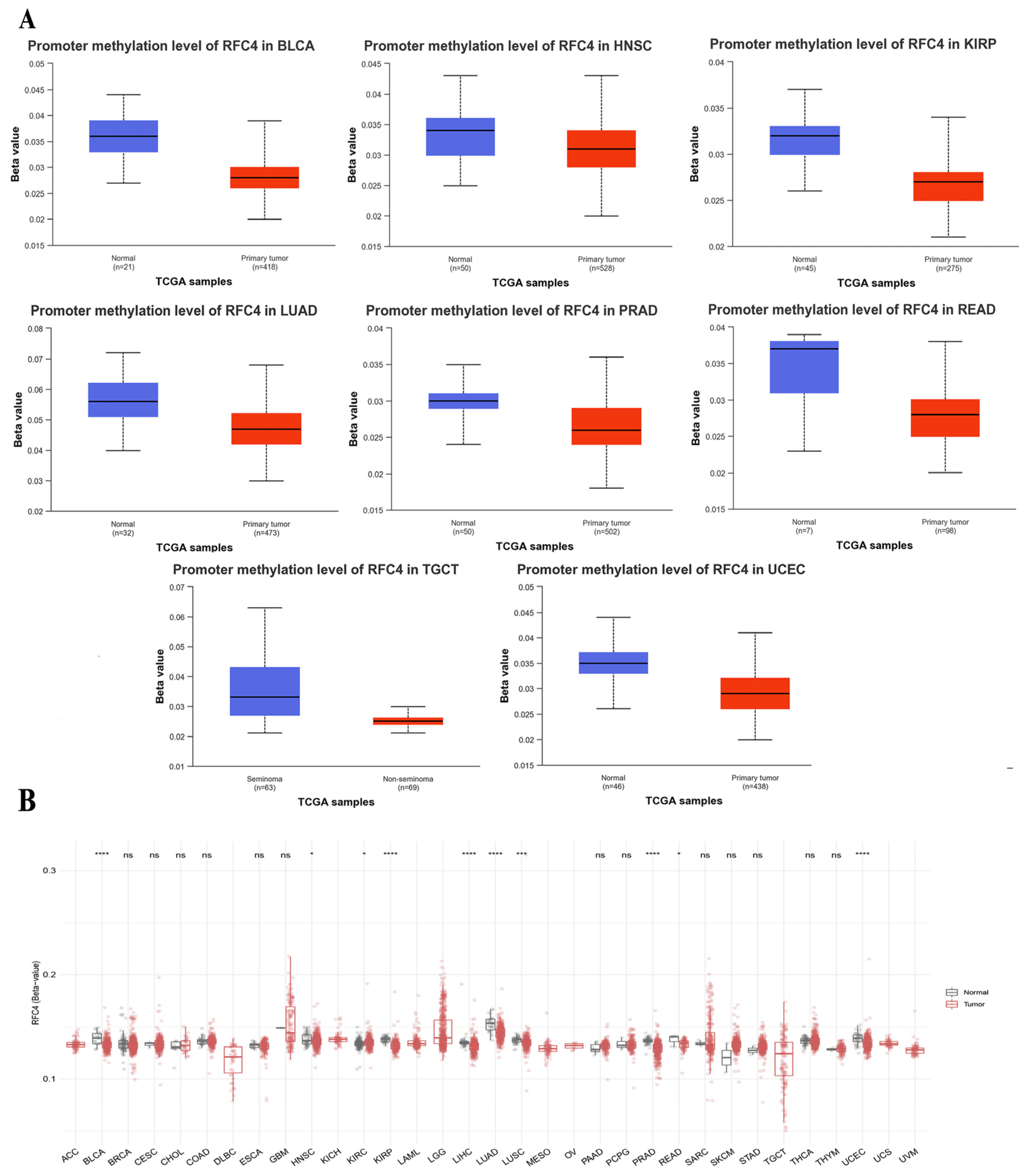 Pharmaceuticals 17 00152 g008 Pharmaceuticals 17 00152 g008
