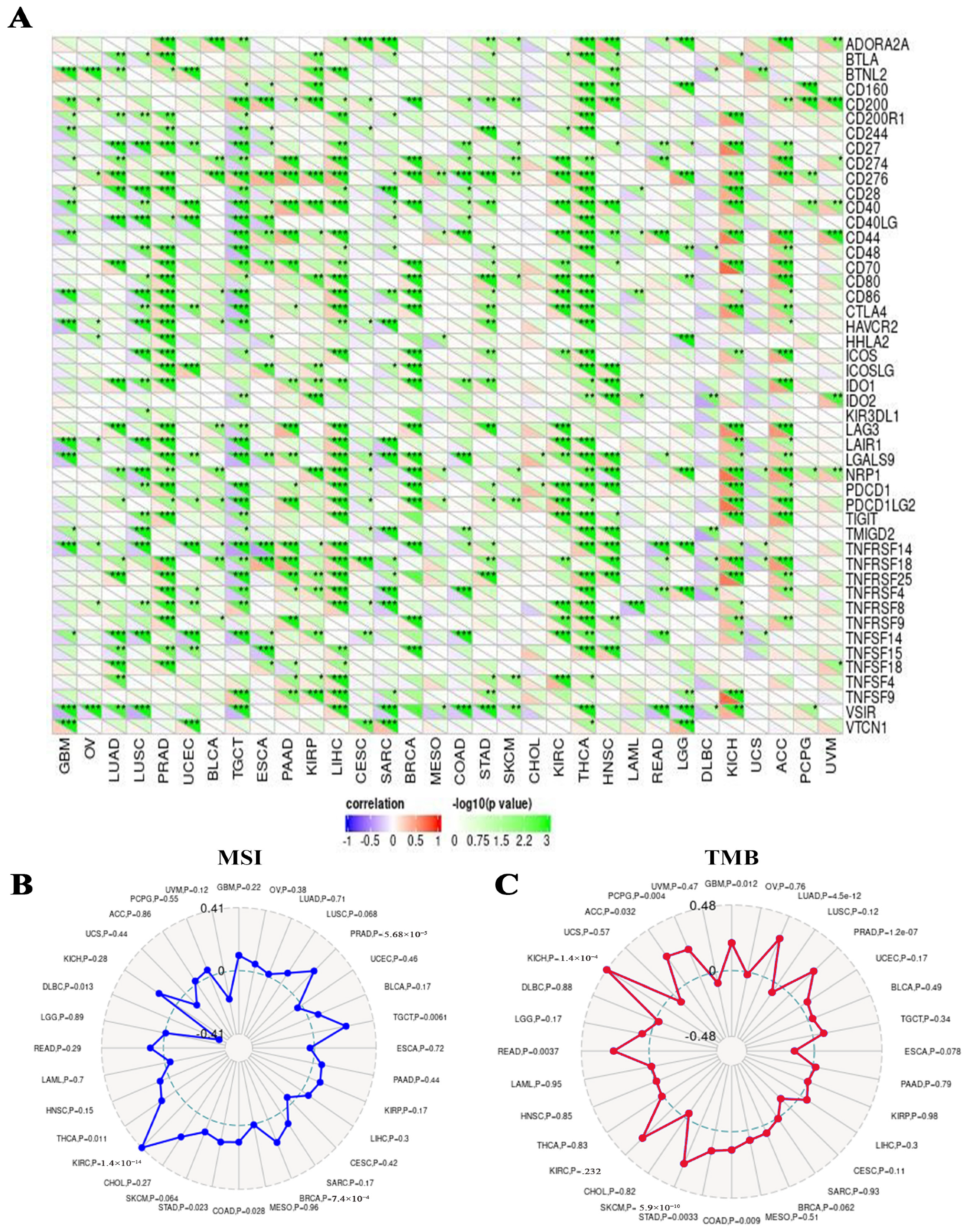 Pharmaceuticals 17 00152 g010 Pharmaceuticals 17 00152 g010