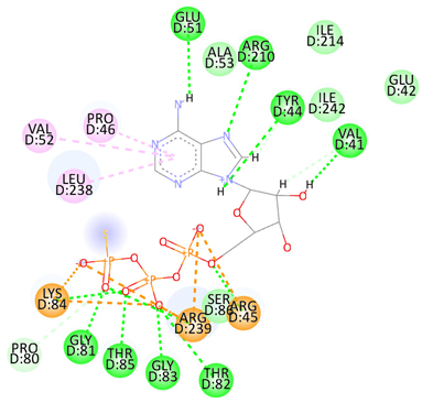 Pharmaceuticals 17 00152 i001 Pharmaceuticals 17 00152 i001
