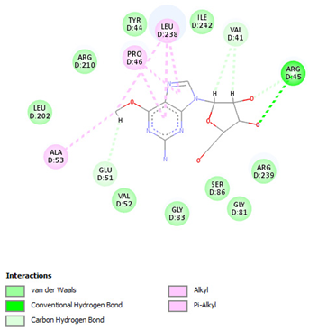Pharmaceuticals 17 00152 i003 Pharmaceuticals 17 00152 i003