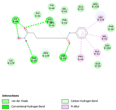 Pharmaceuticals 17 00152 i006 Pharmaceuticals 17 00152 i006