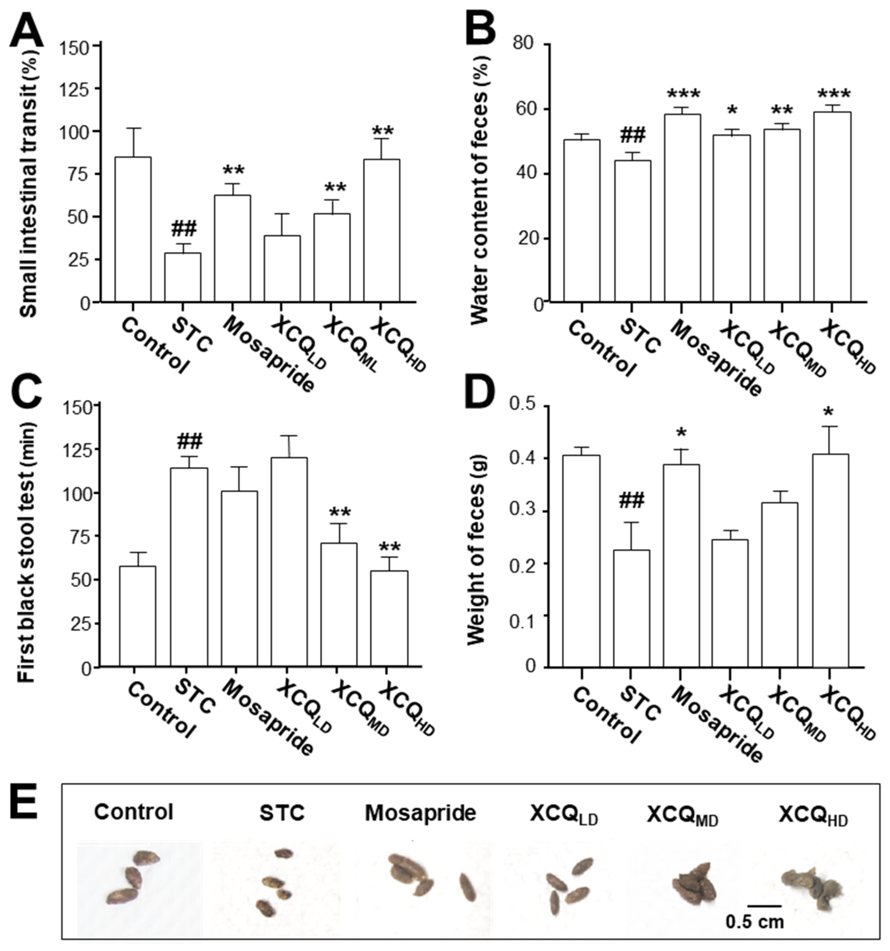 Pharmaceuticals 17 00153 g002