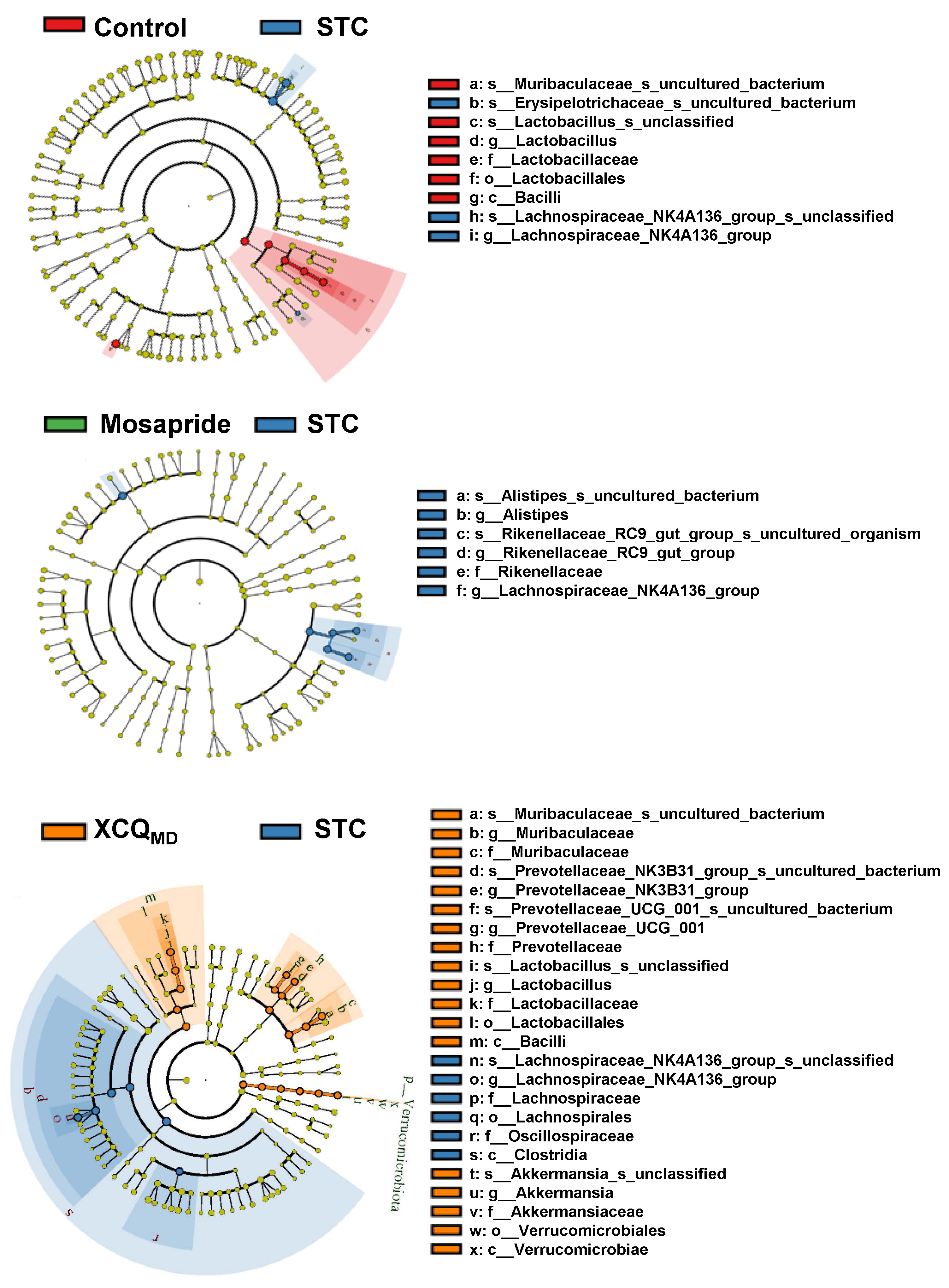 Pharmaceuticals 17 00153 g005