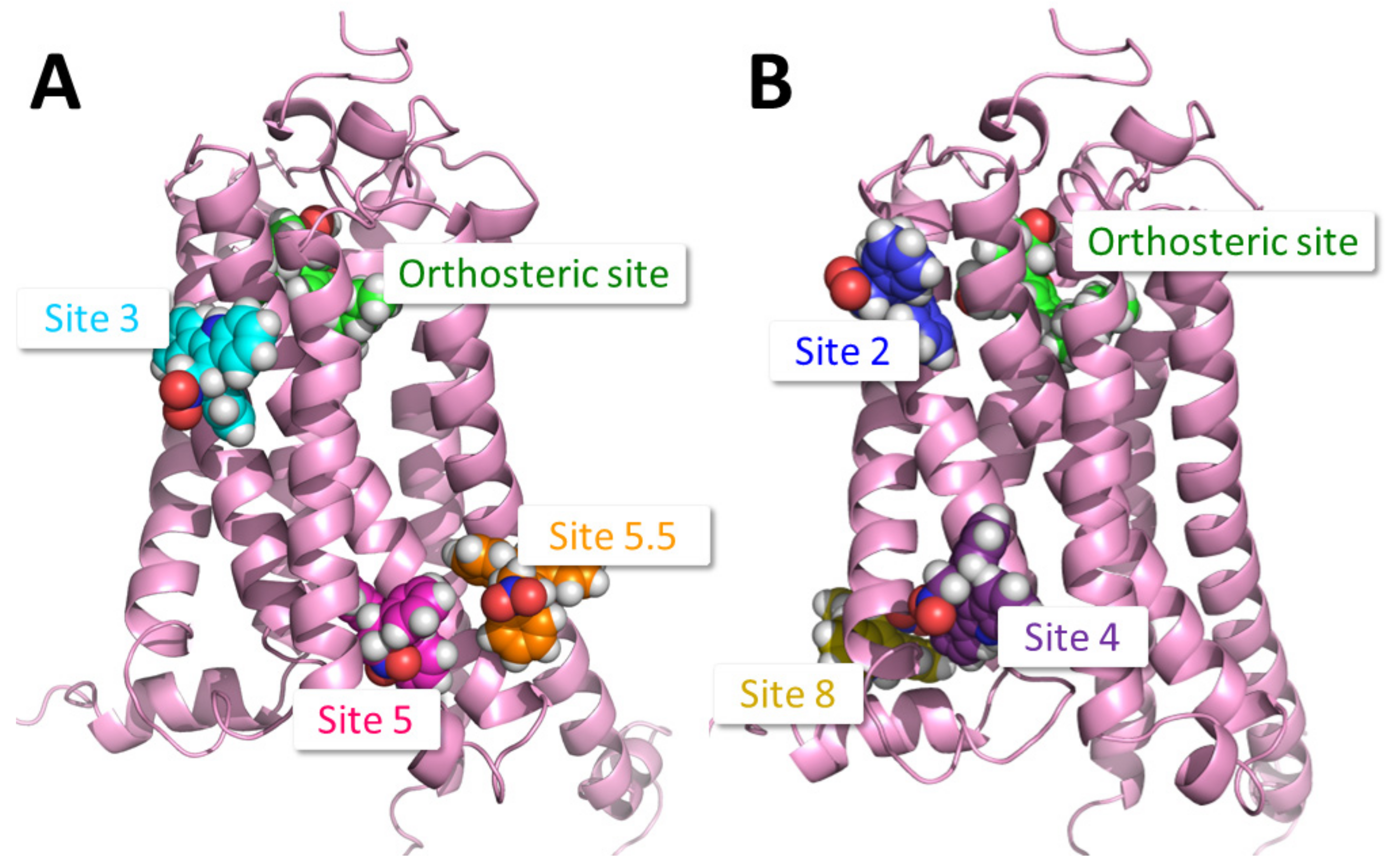 Pharmaceuticals 17 00154 g001