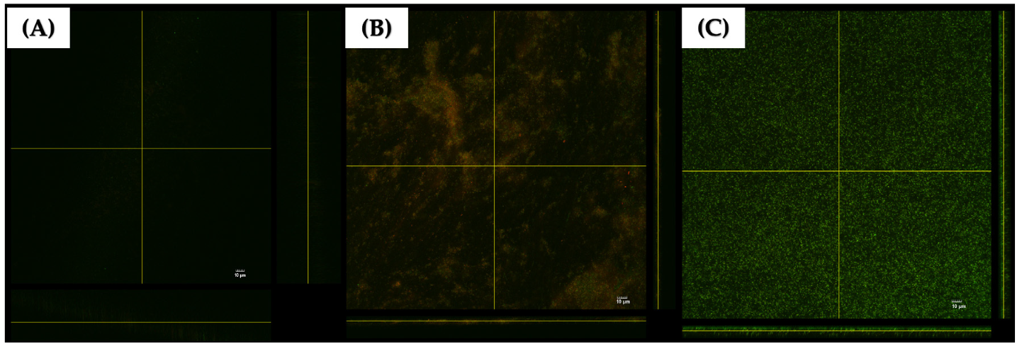 Pharmaceuticals 17 00155 g008