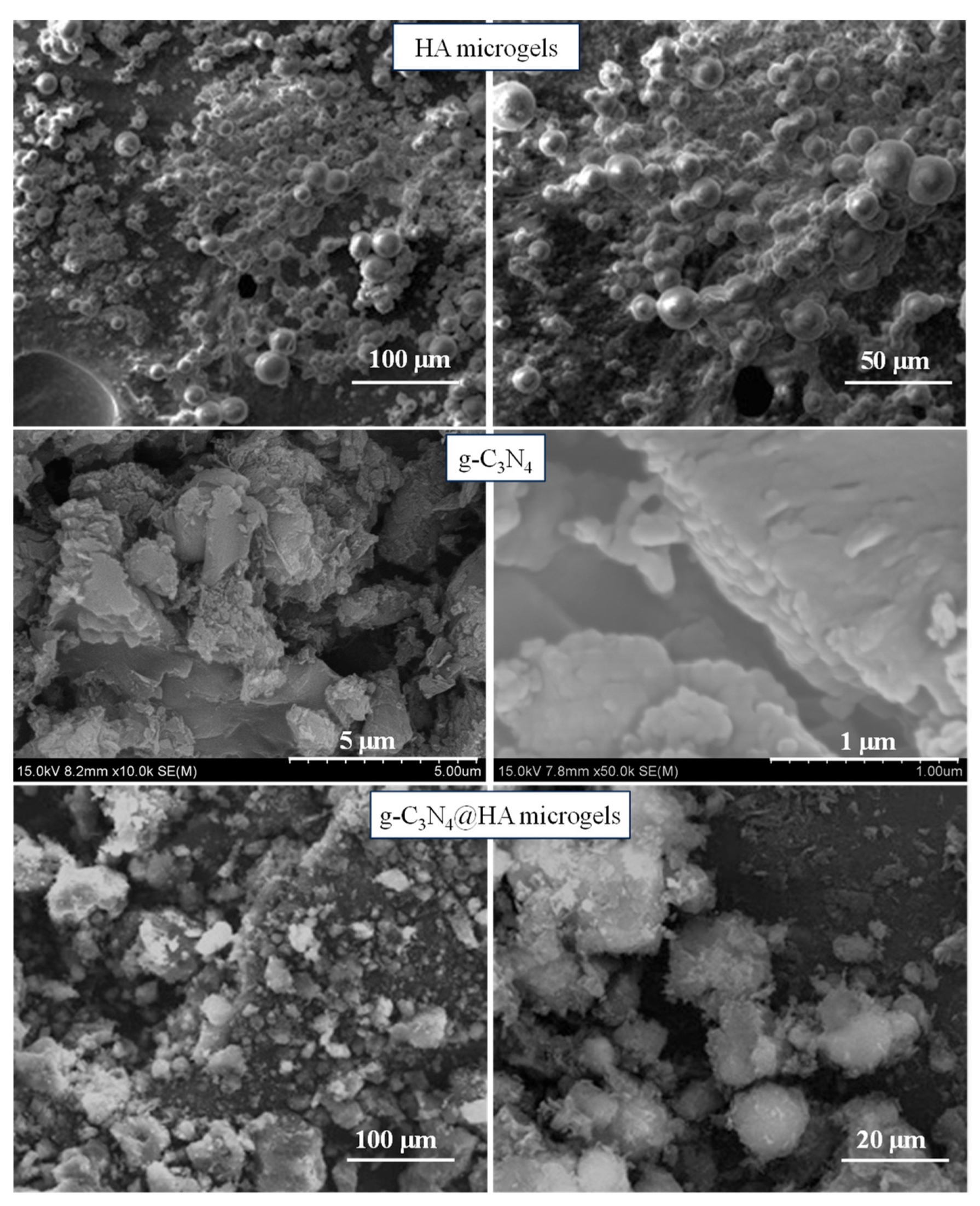 Pharmaceuticals 17 00160 g001