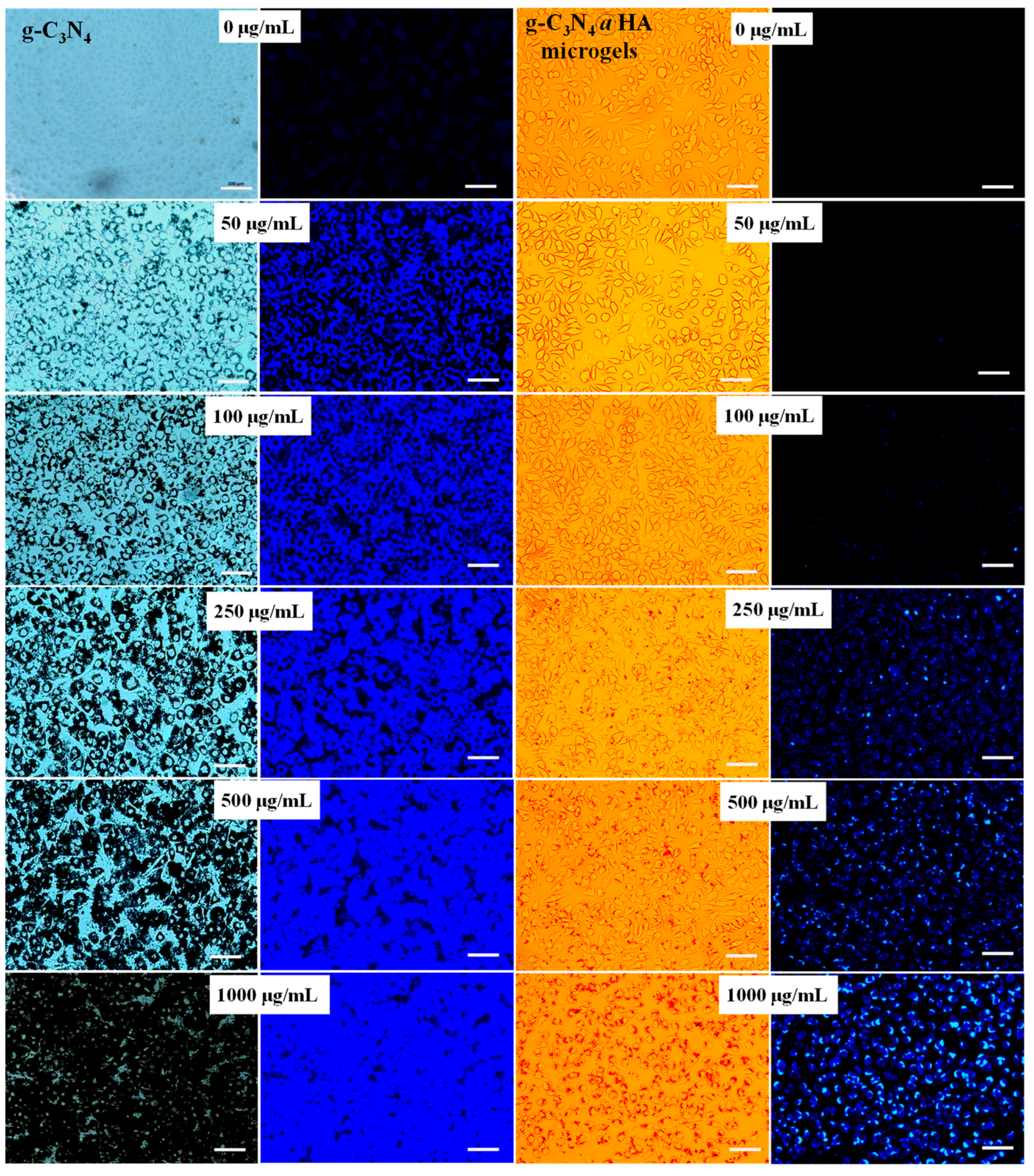 Pharmaceuticals 17 00160 g005