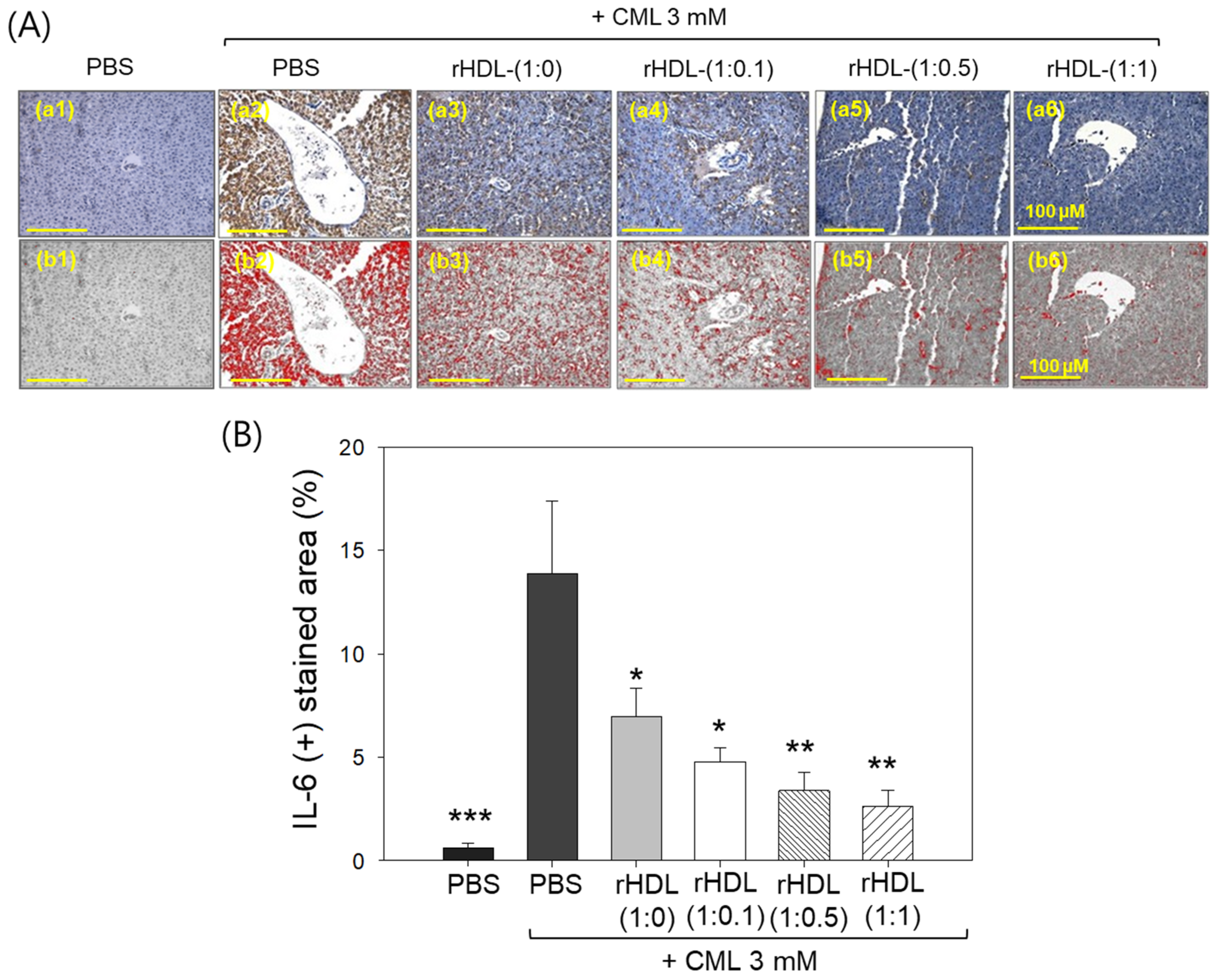 Pharmaceuticals 17 00165 g011