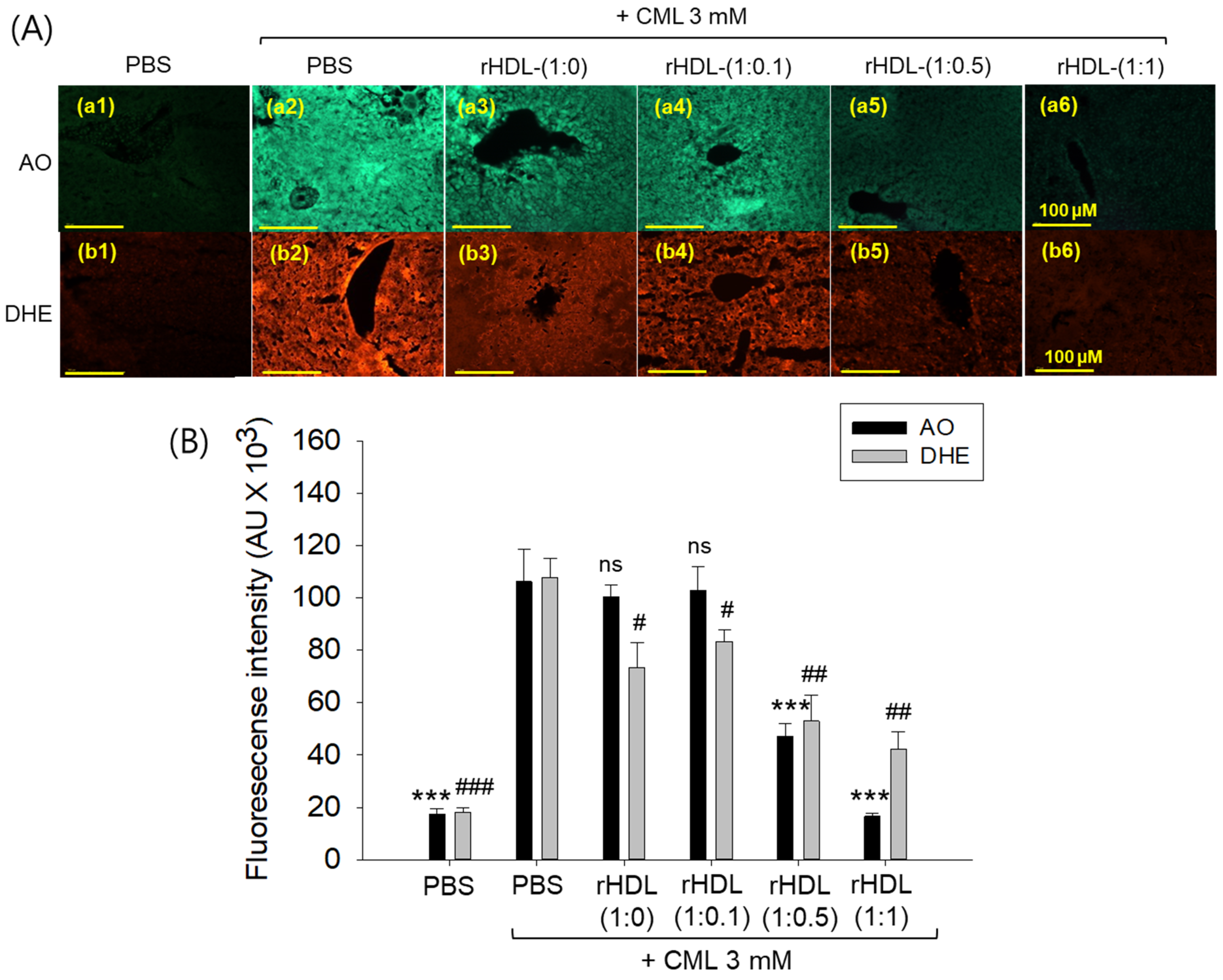 Pharmaceuticals 17 00165 g012