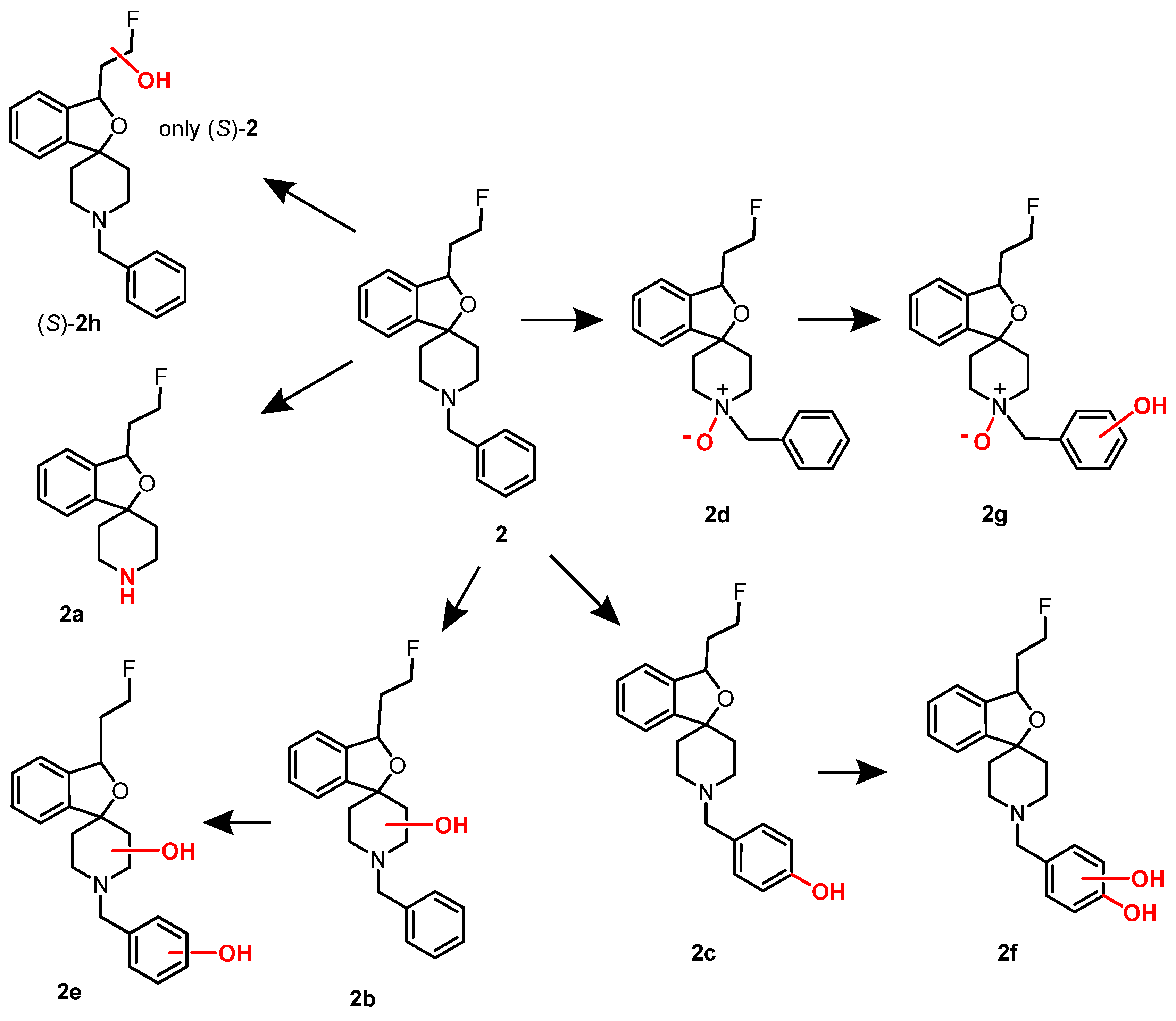 Pharmaceuticals 17 00166 g006