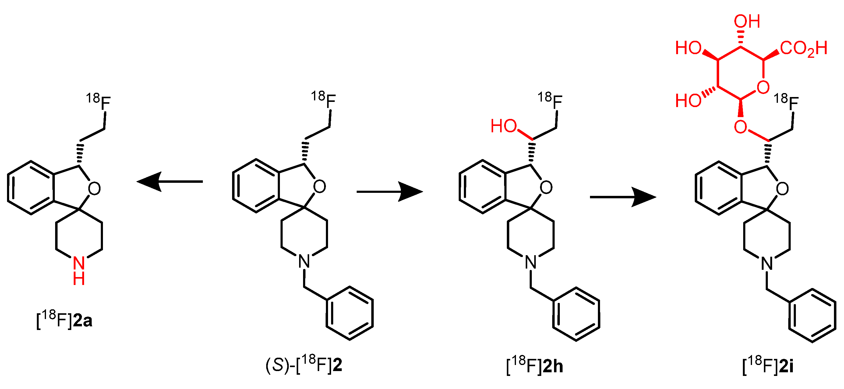 Pharmaceuticals 17 00166 g011