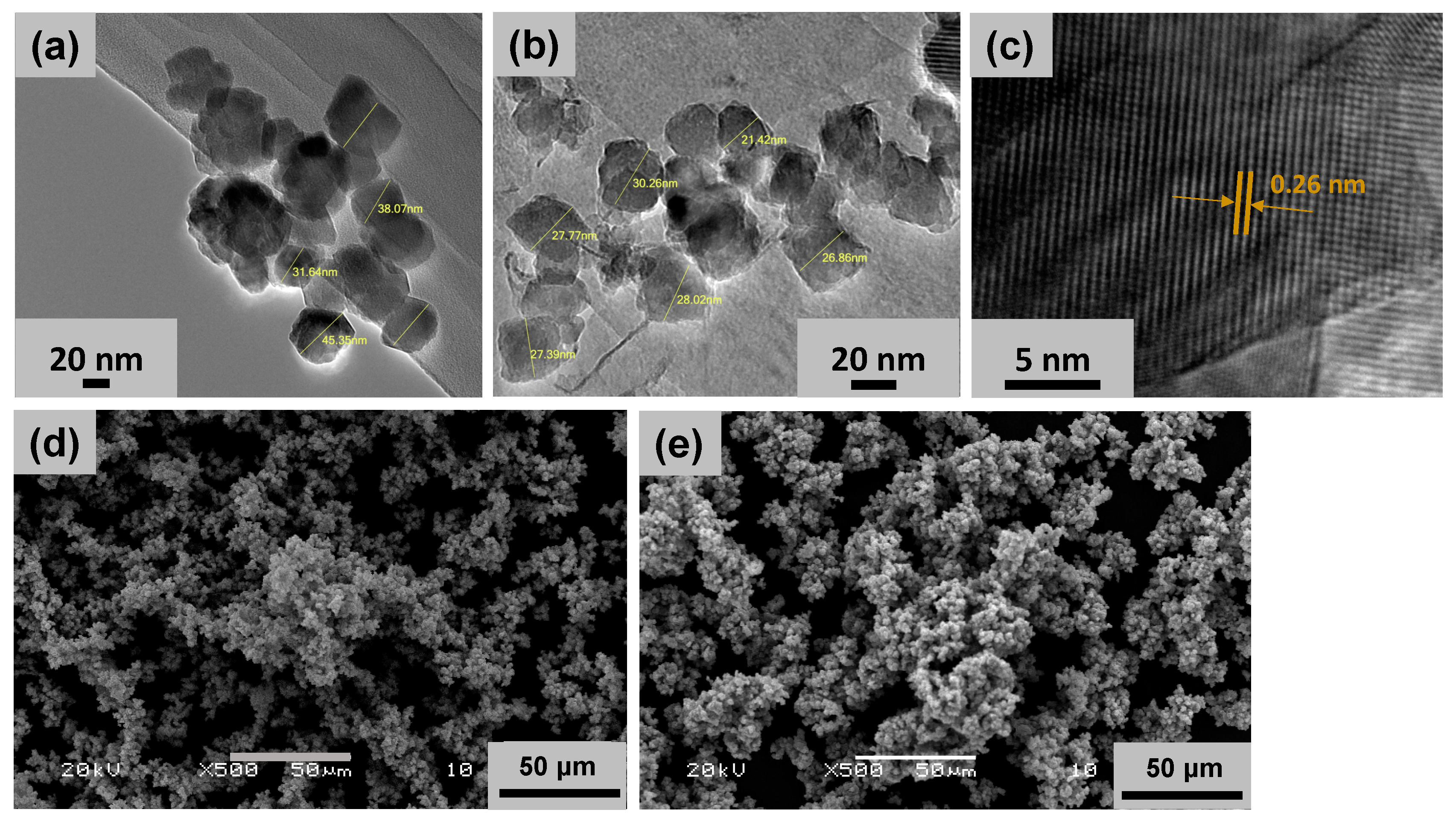 Pharmaceuticals 17 00168 g001