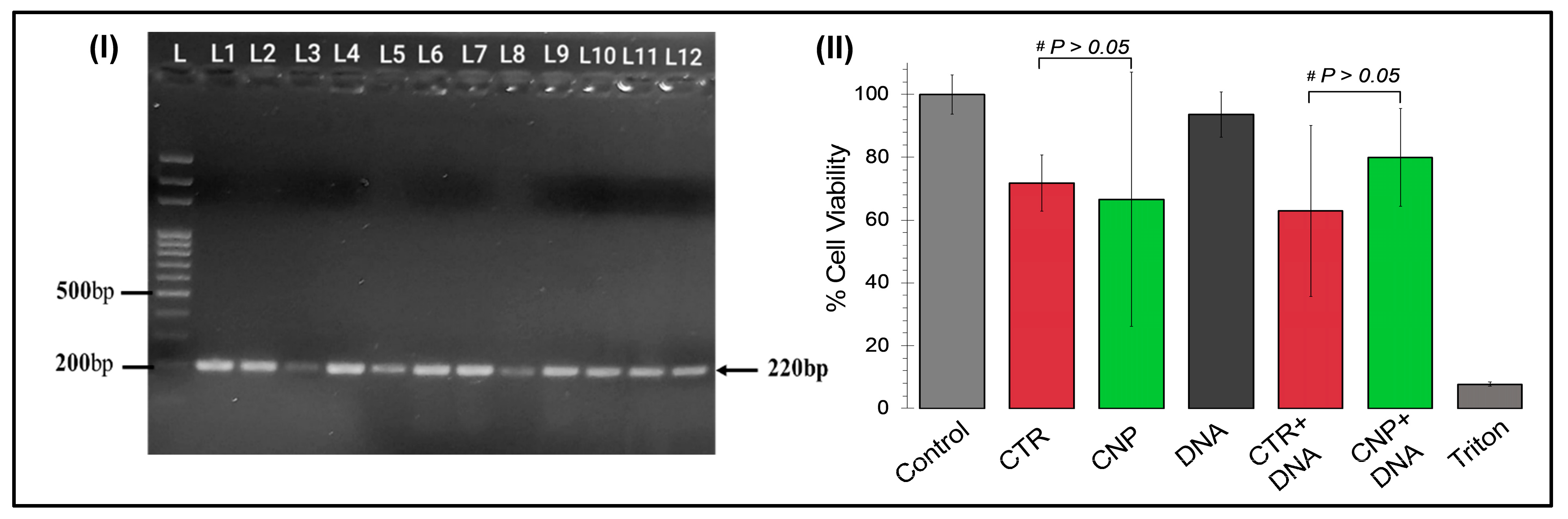 Pharmaceuticals 17 00169 g003