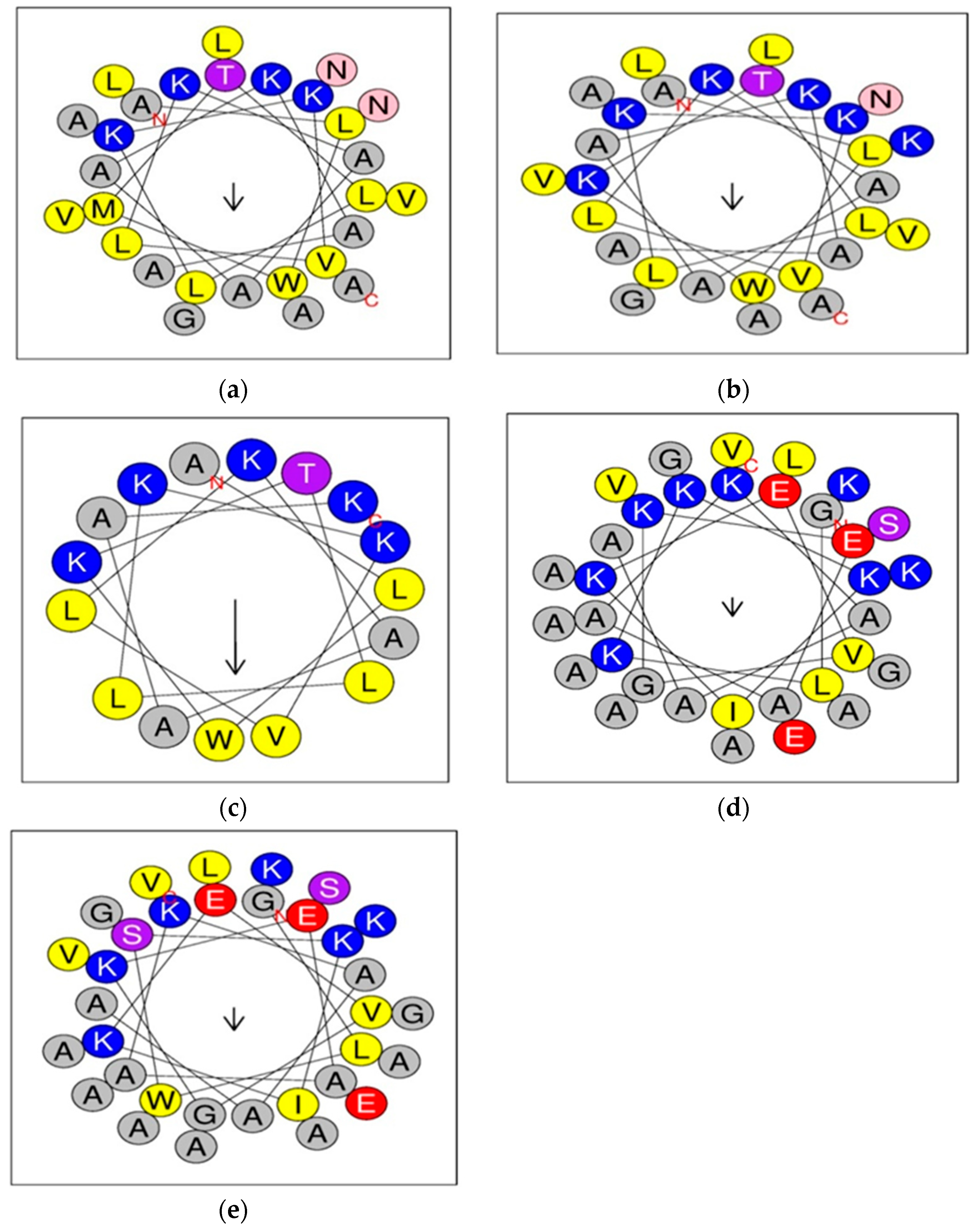 Pharmaceuticals 17 00171 g001