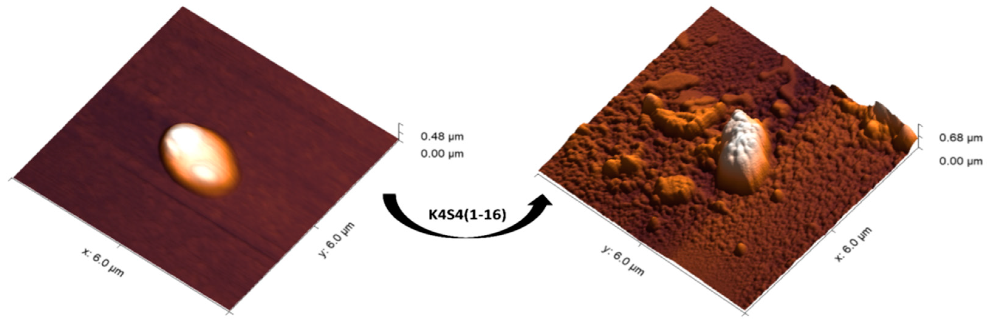 Pharmaceuticals 17 00171 g002