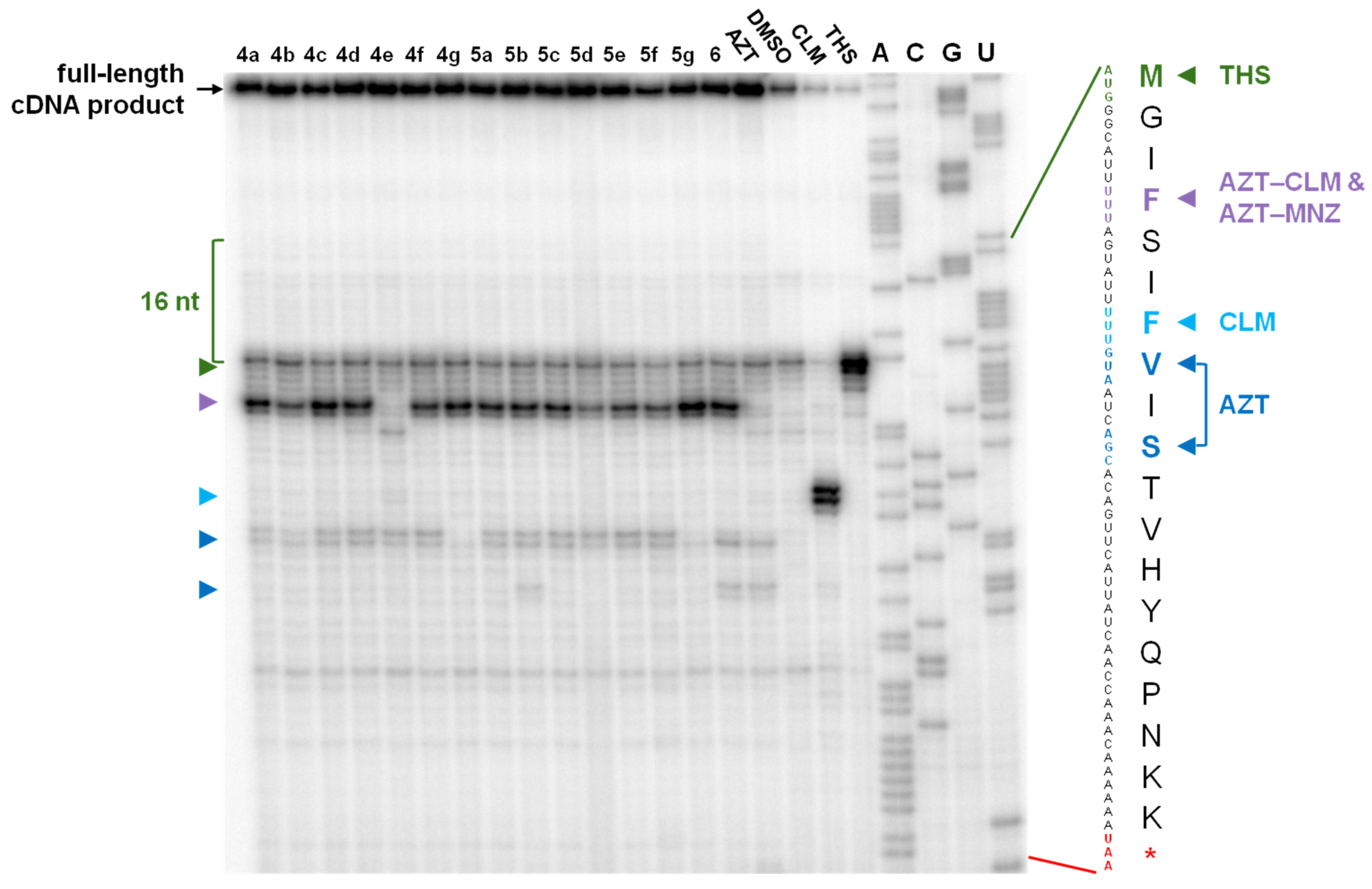 Pharmaceuticals 17 00187 g004