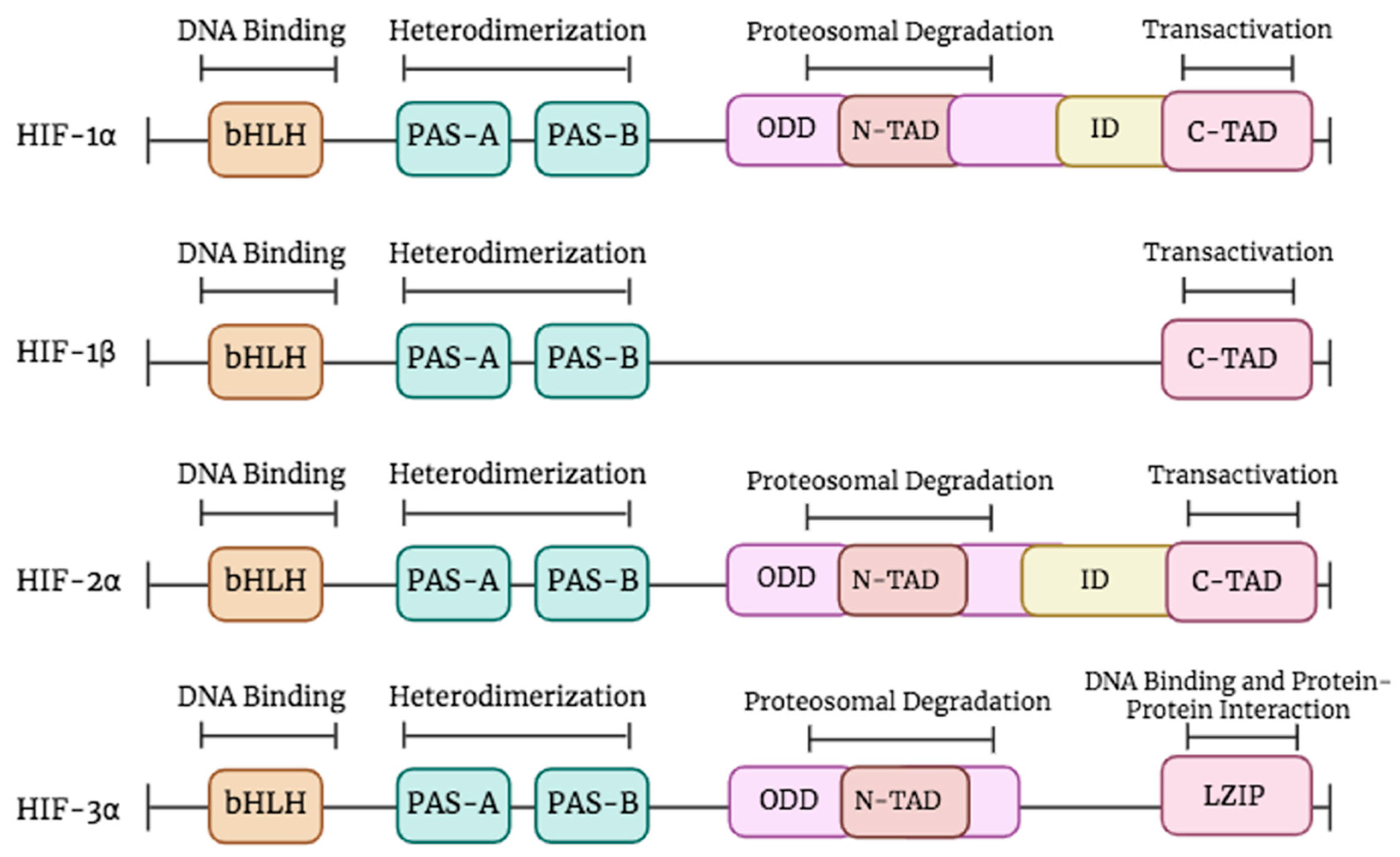 Pharmaceuticals 17 00195 g001 Pharmaceuticals 17 00195 g001