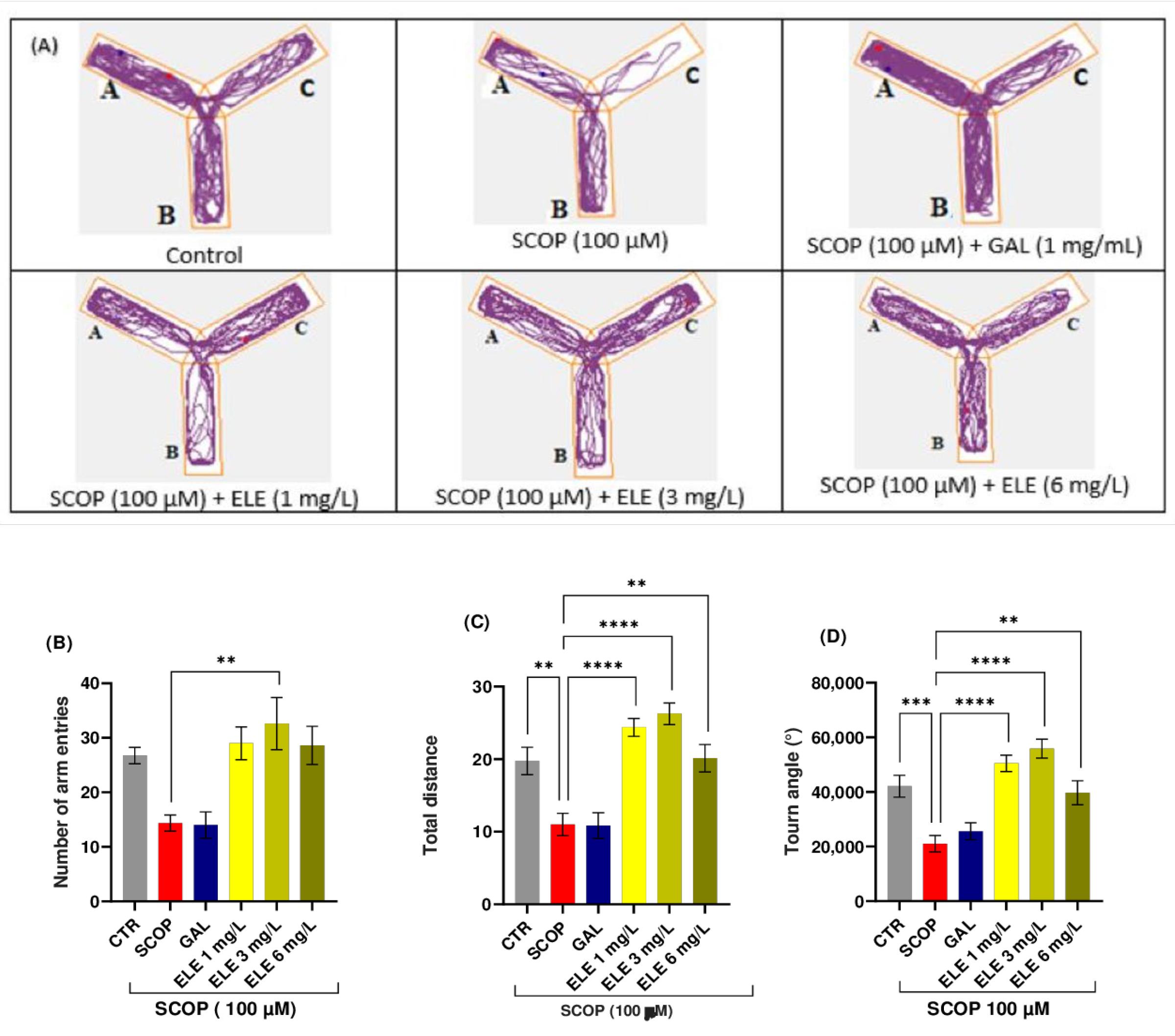 Pharmaceuticals 17 00200 g002