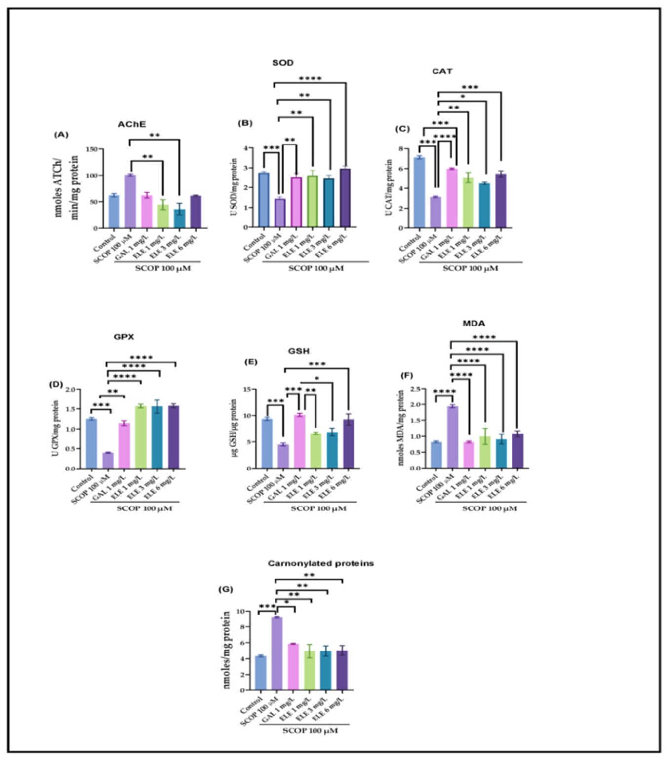 Pharmaceuticals 17 00200 g004
