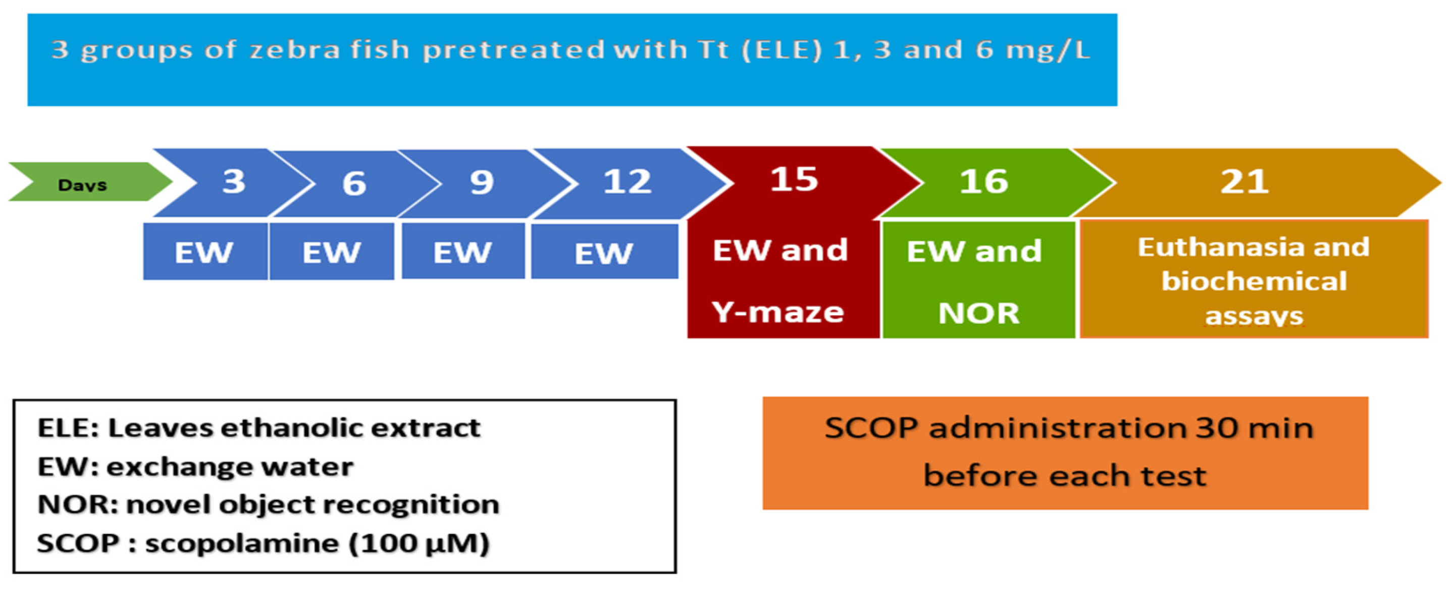 Pharmaceuticals 17 00200 g006