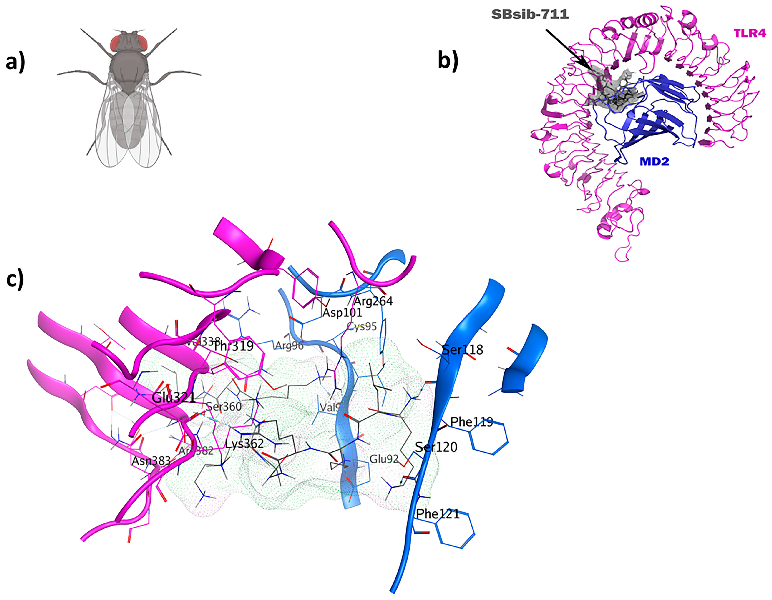 Pharmaceuticals 17 00201 g007