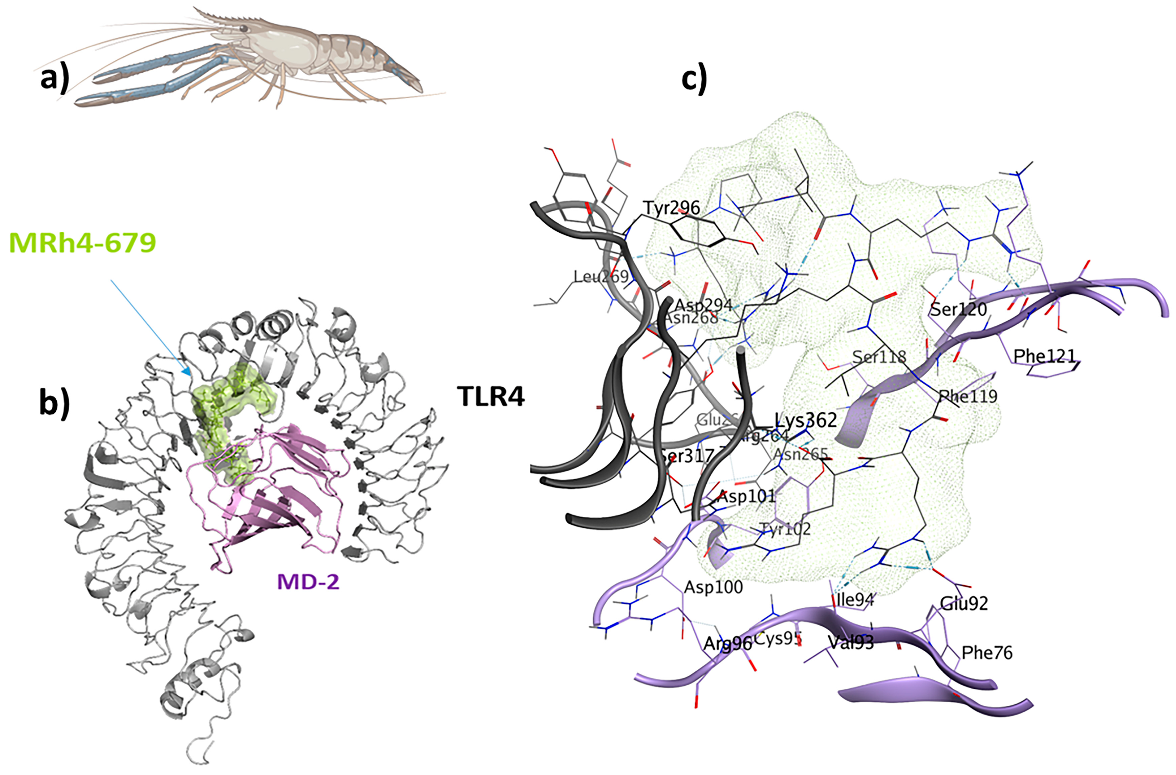Pharmaceuticals 17 00201 g009