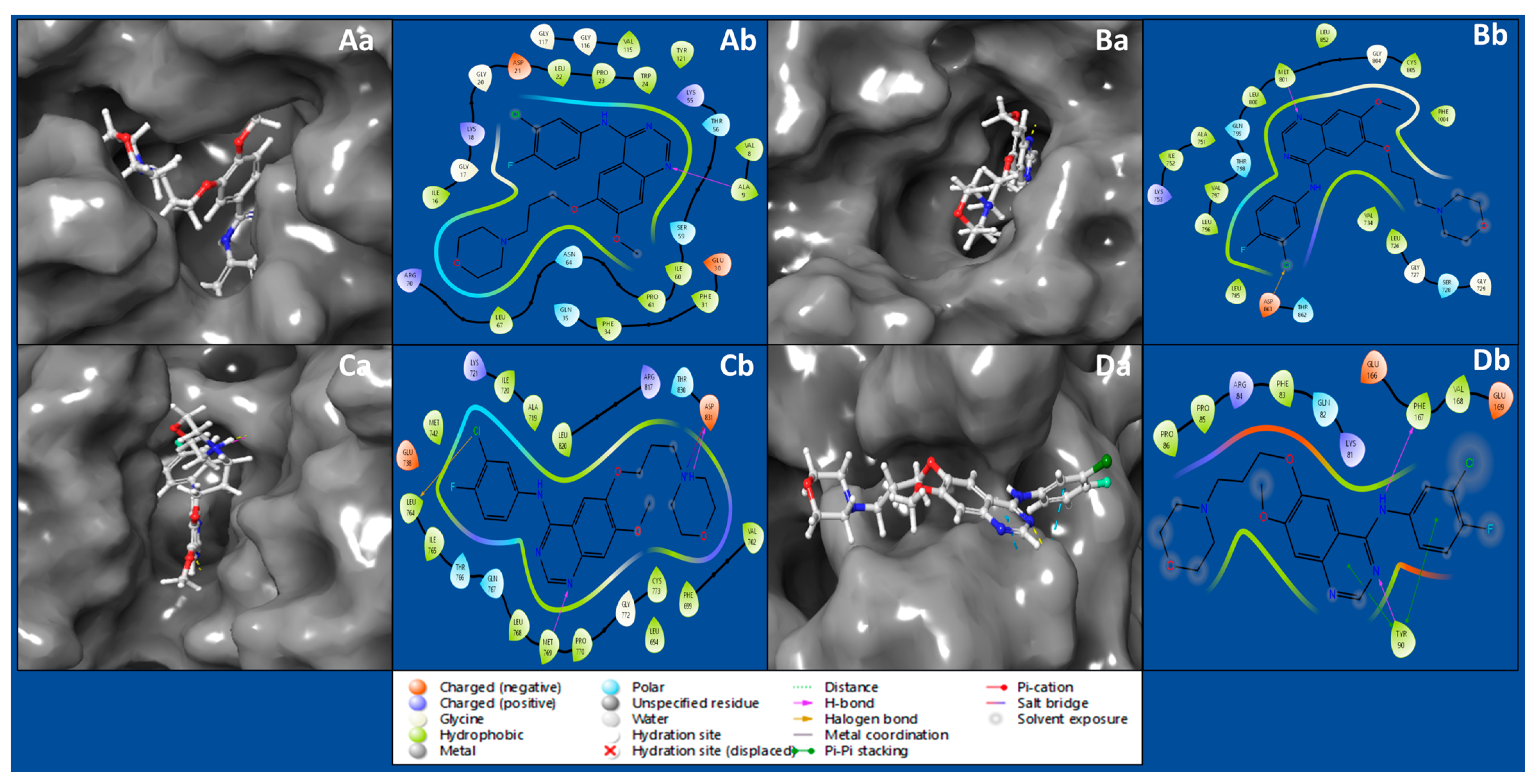Pharmaceuticals 17 00208 g001