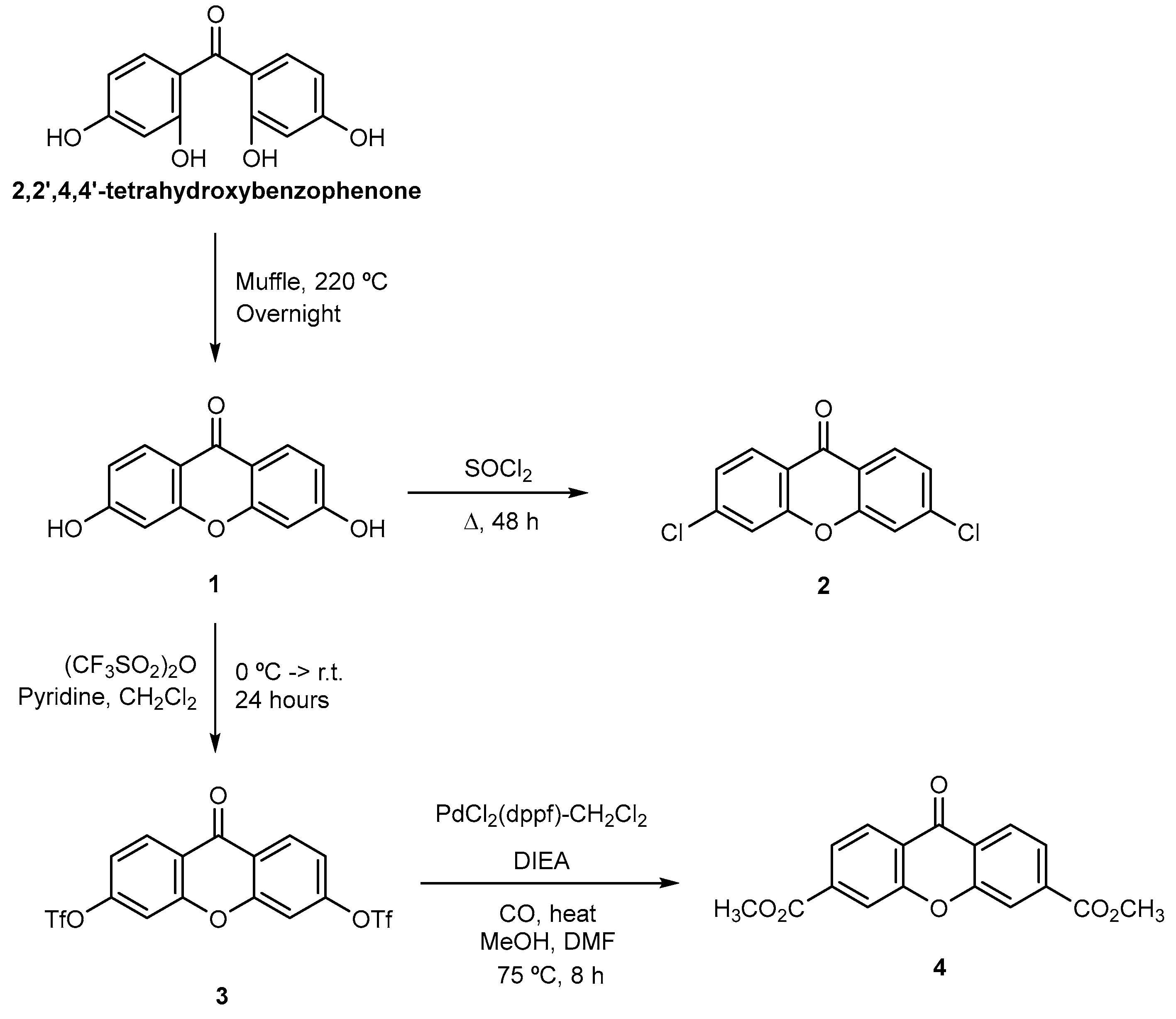 Pharmaceuticals 17 00209 sch001 Pharmaceuticals 17 00209 sch001