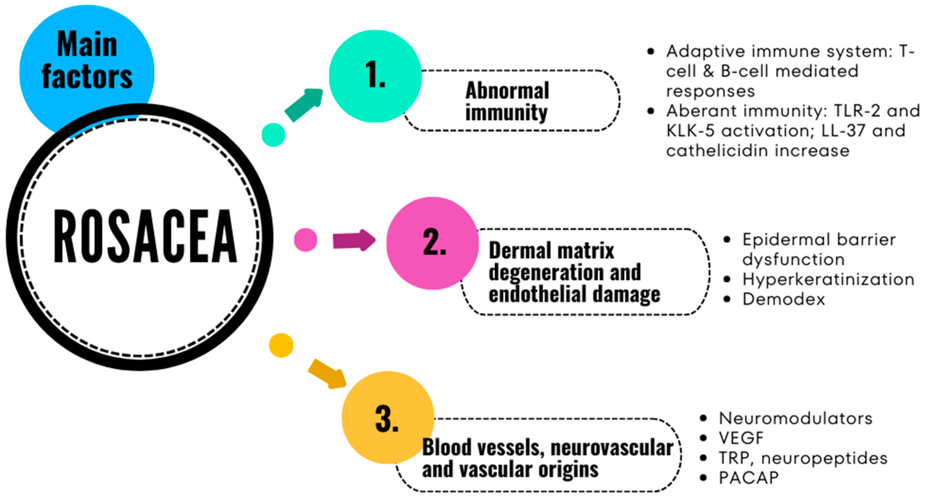 Pharmaceuticals 17 00212 g001