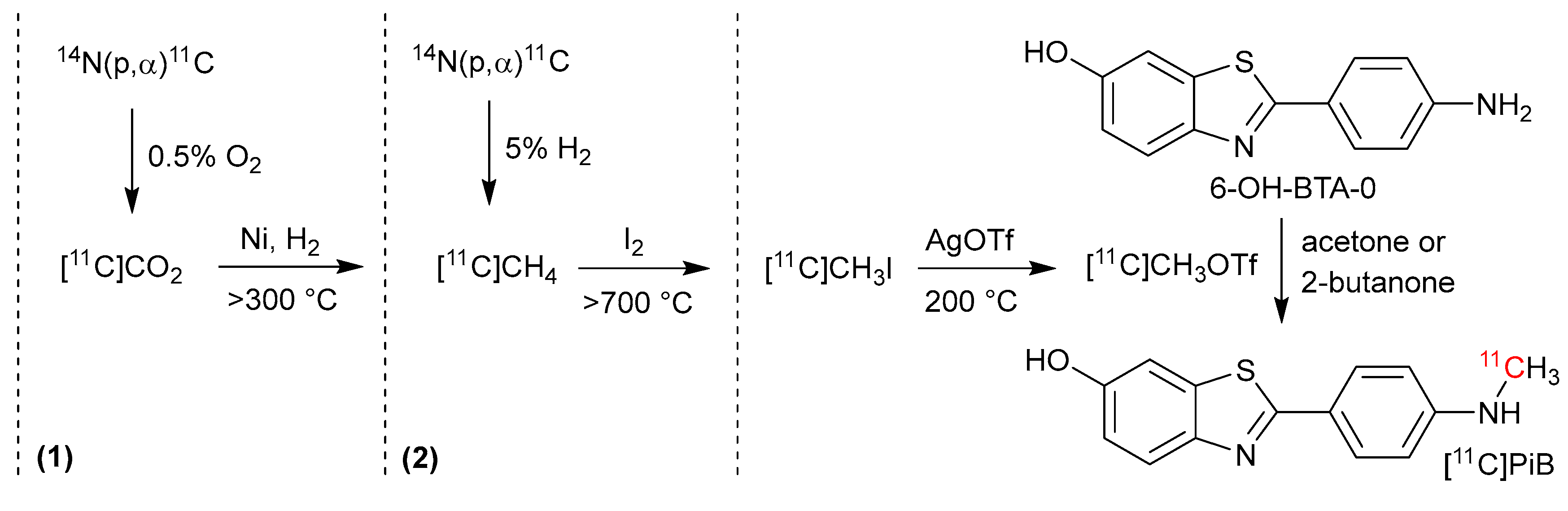 Pharmaceuticals 17 00217 g001