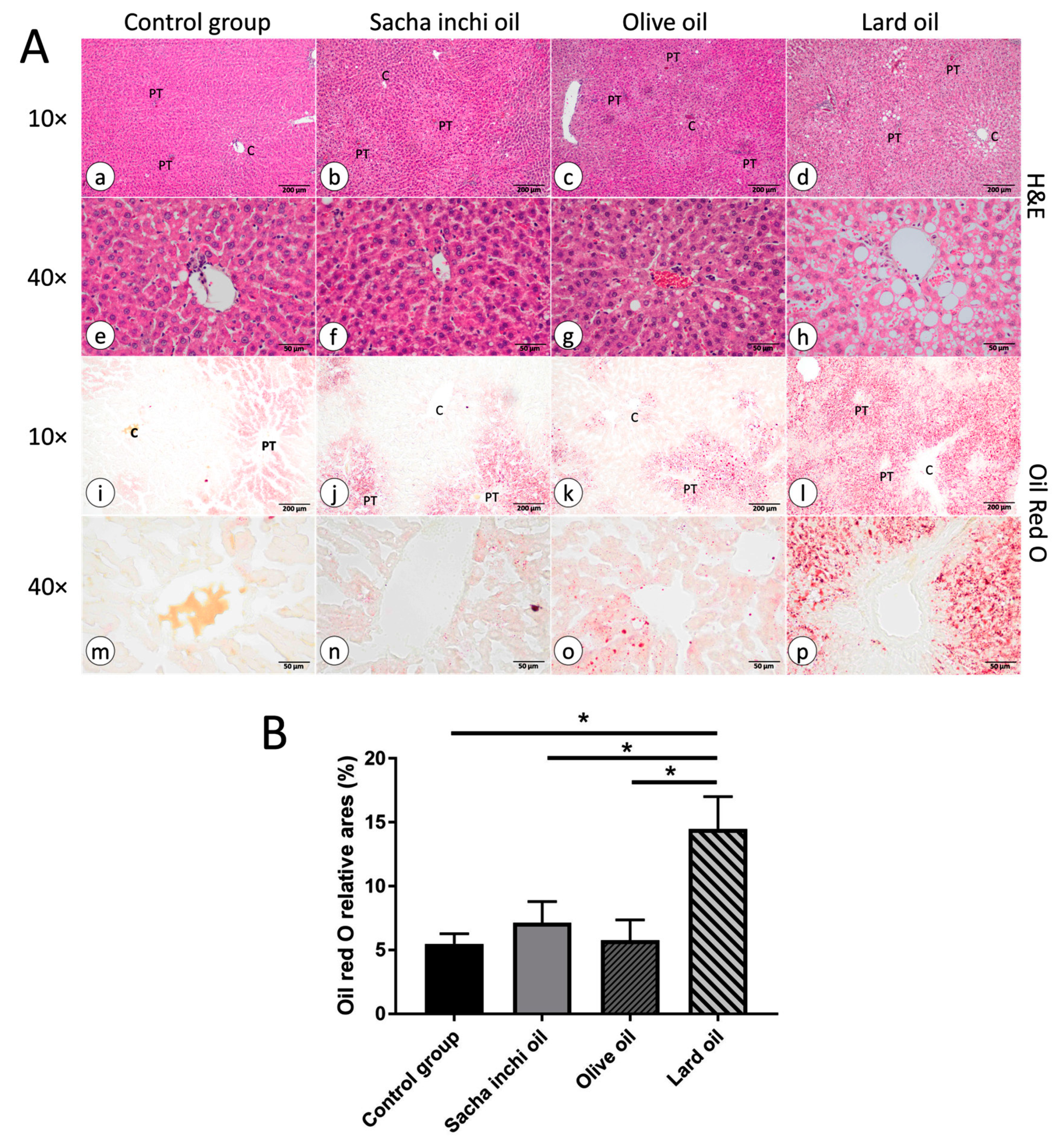 Pharmaceuticals 17 00220 g004