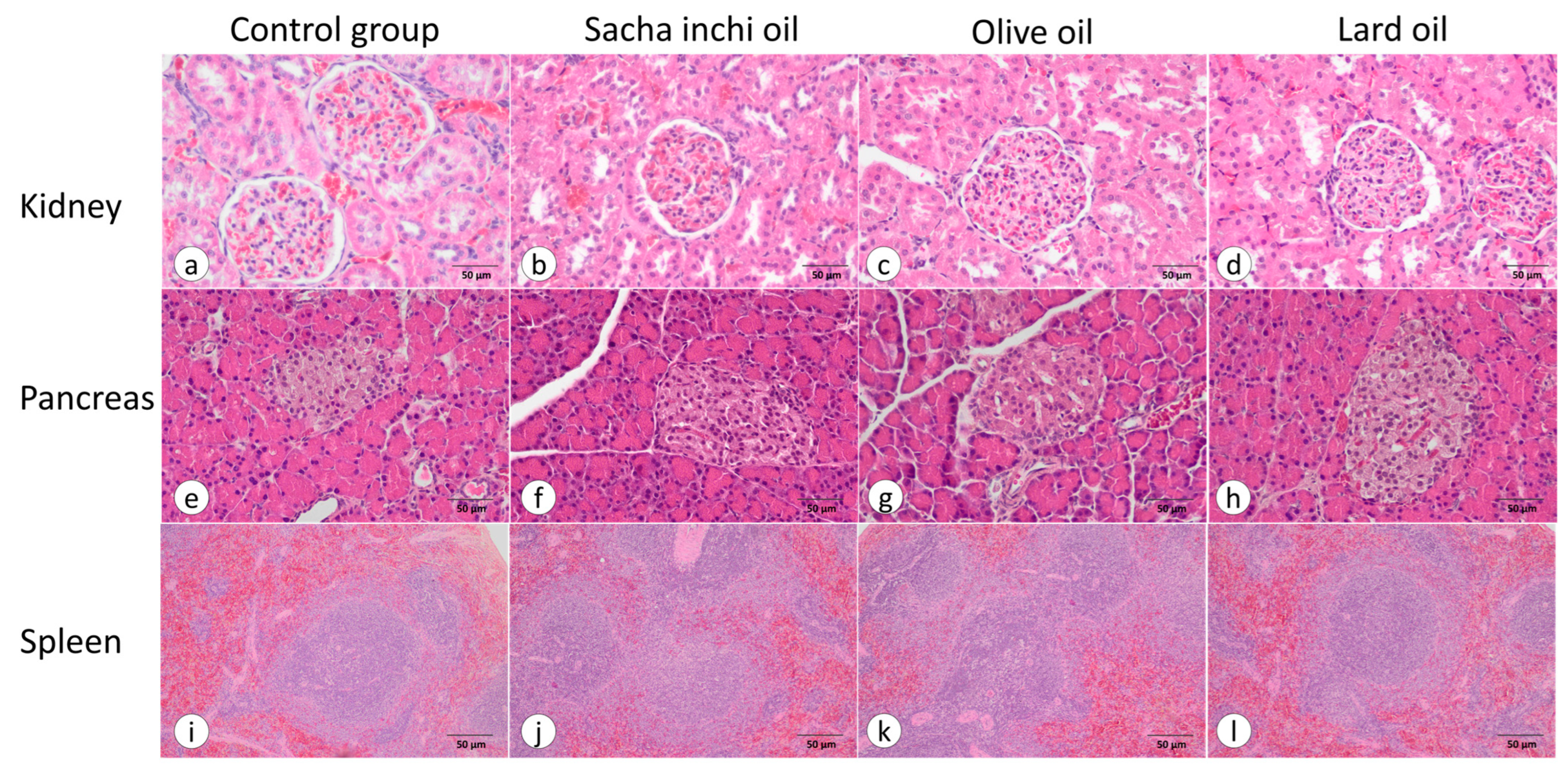 Pharmaceuticals 17 00220 g007