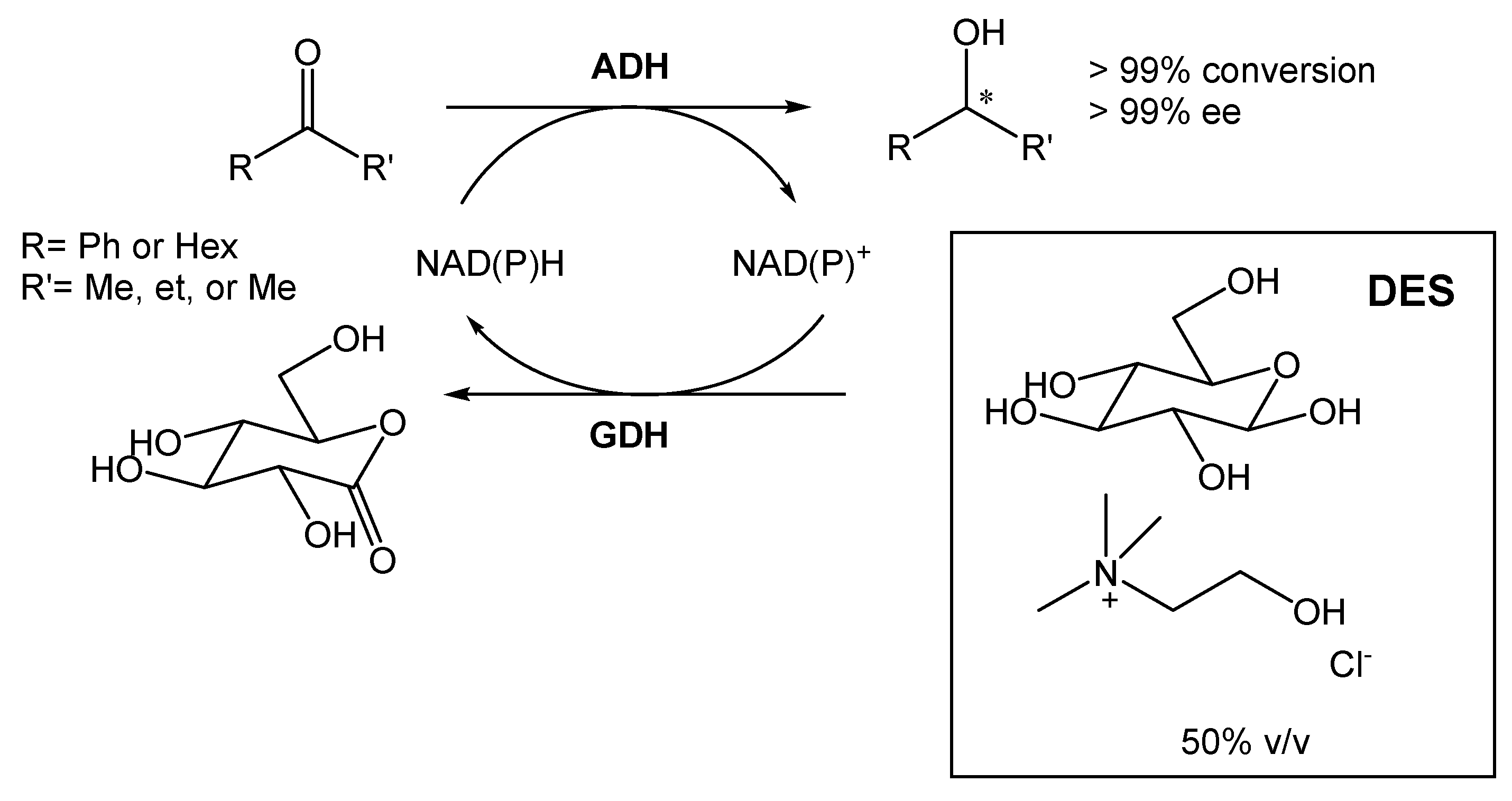 Pharmaceuticals 17 00221 sch003